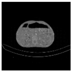 Asi 03 00008 i049 Asi 03 00008 i049