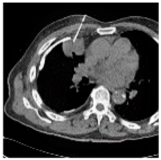 Asi 03 00008 i051 Asi 03 00008 i051