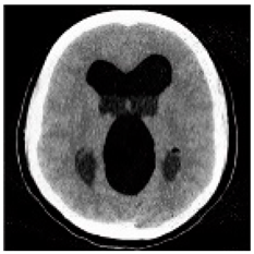 Asi 03 00008 i052 Asi 03 00008 i052