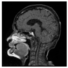 Asi 03 00008 i053 Asi 03 00008 i053