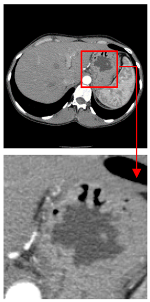 Asi 03 00008 i058 Asi 03 00008 i058