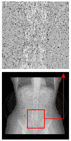 Asi 03 00008 i063 Asi 03 00008 i063