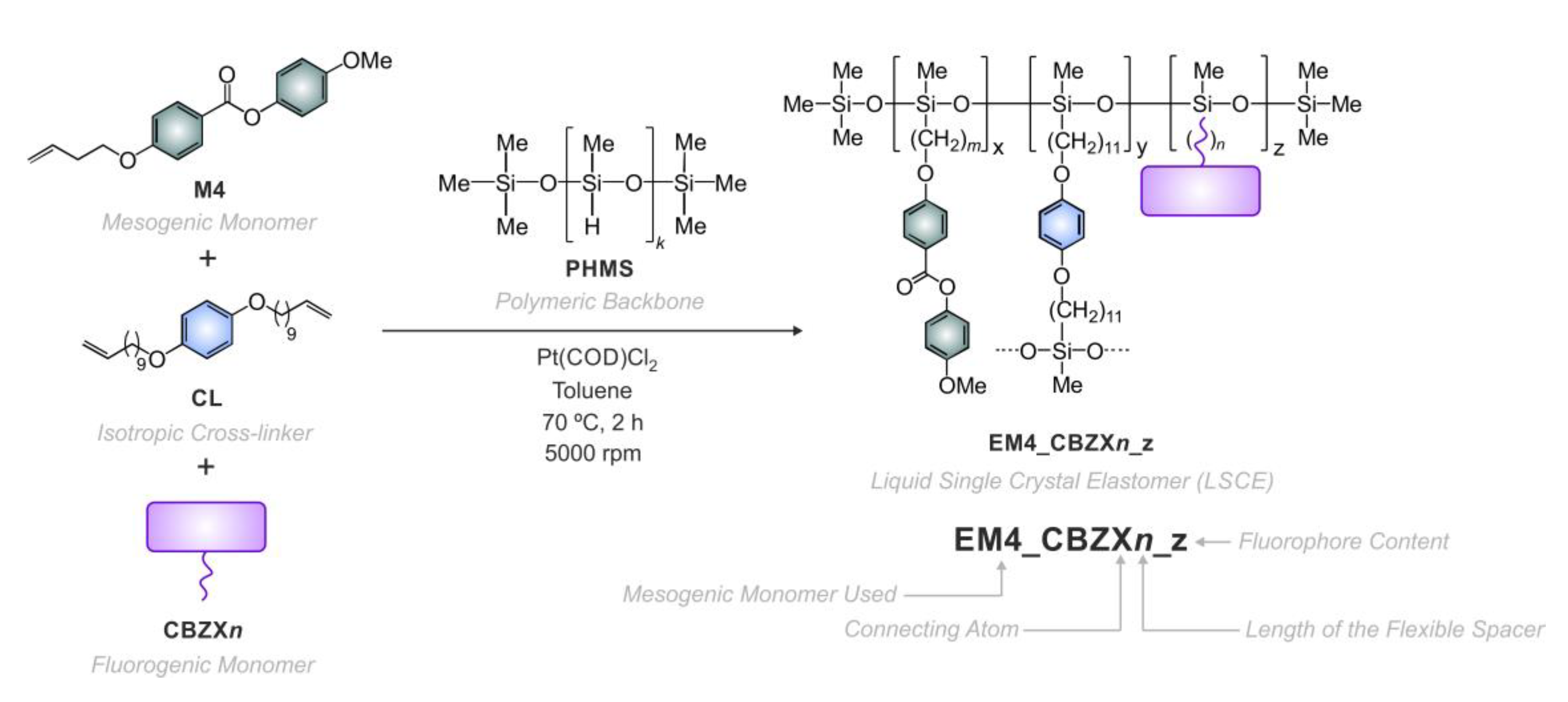 Asi 03 00022 sch002 Asi 03 00022 sch002