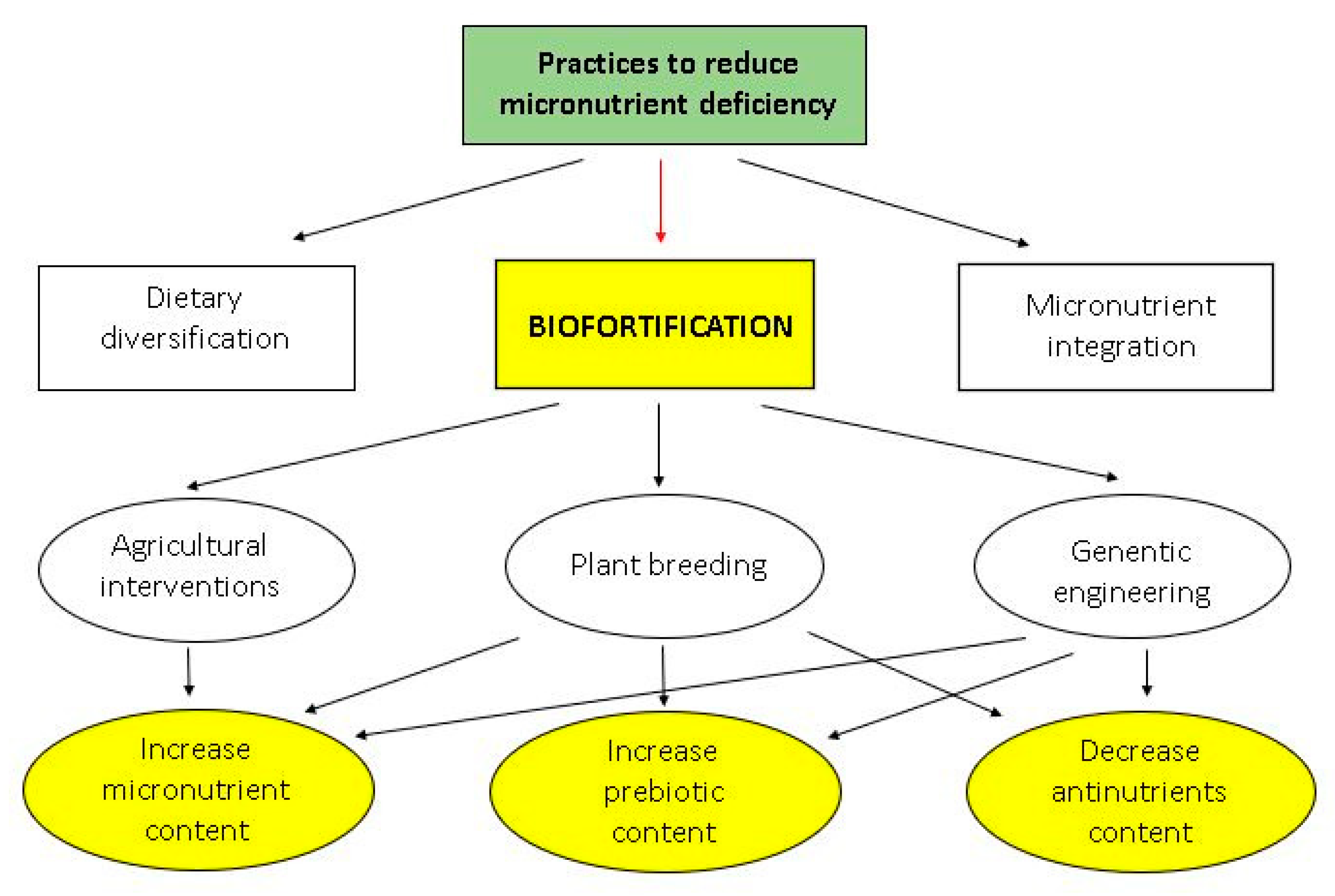 Asi 04 00001 g001 Asi 04 00001 g001