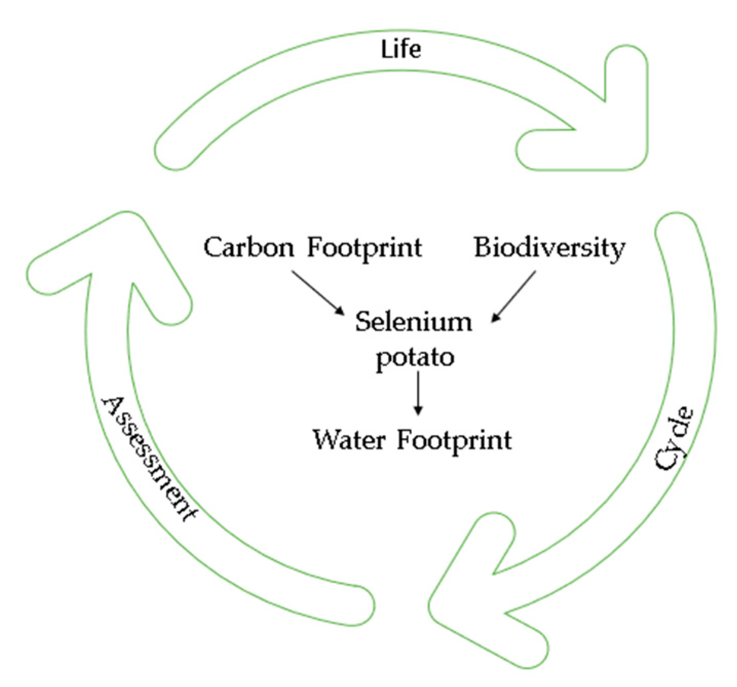 Asi 04 00001 g003 Asi 04 00001 g003