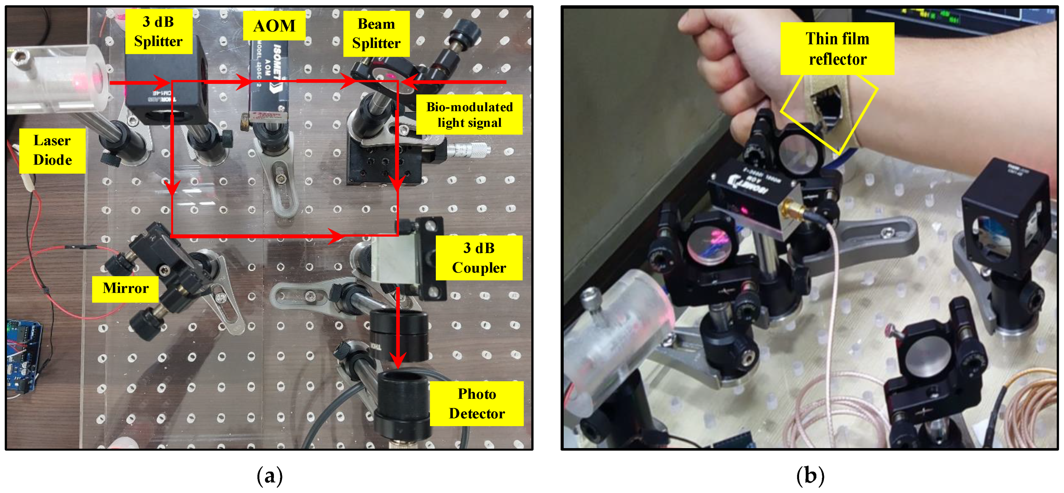 Asi 04 00048 g013 550