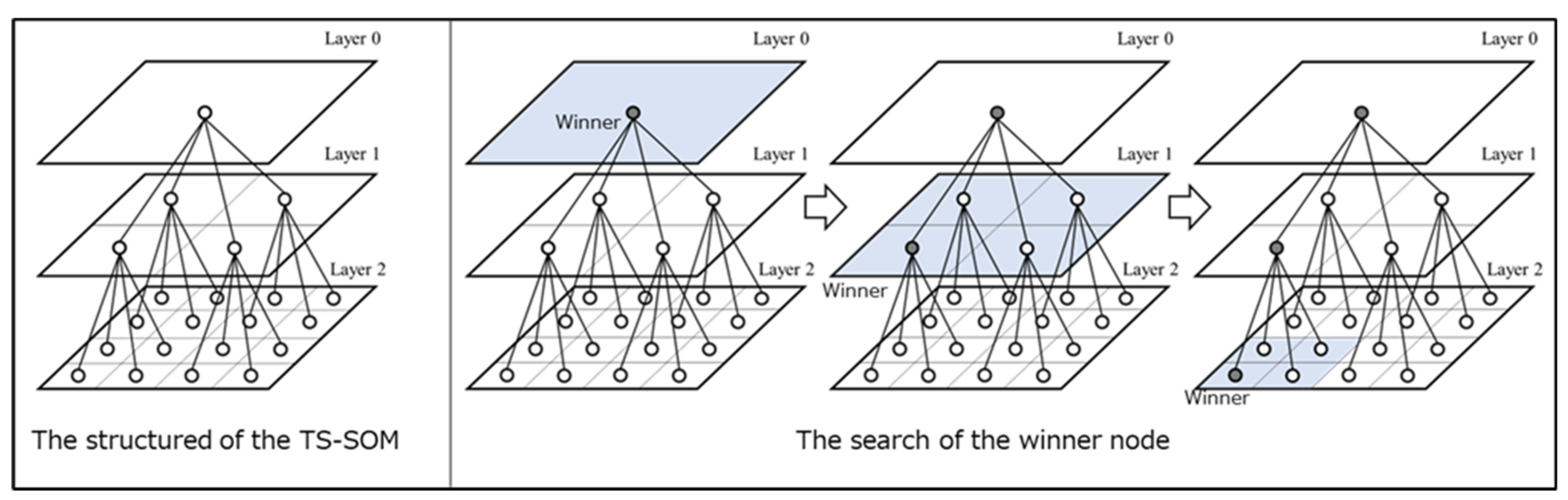 Asi 05 00076 g002 550