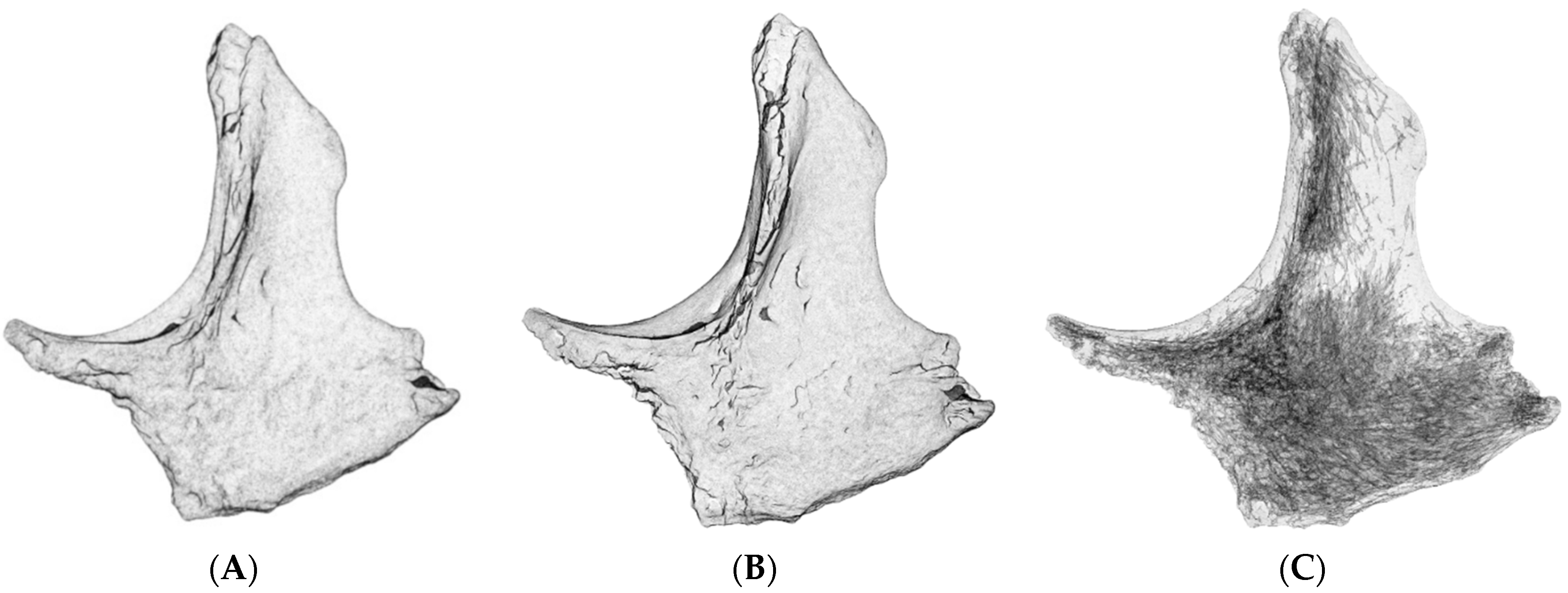 Asi 05 00085 g002 550