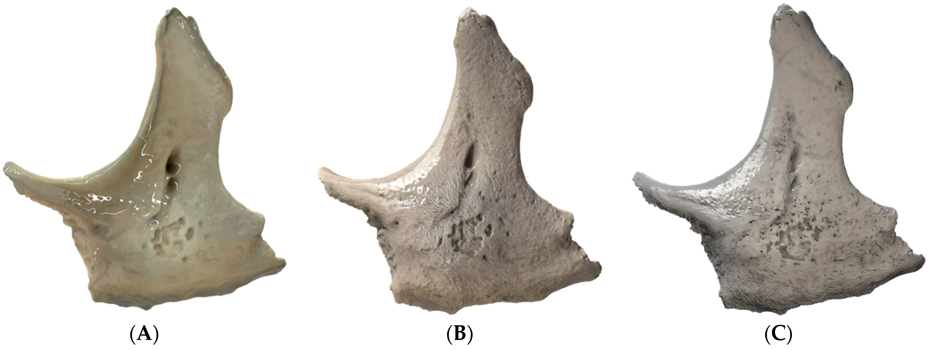 Asi 05 00085 g003 550