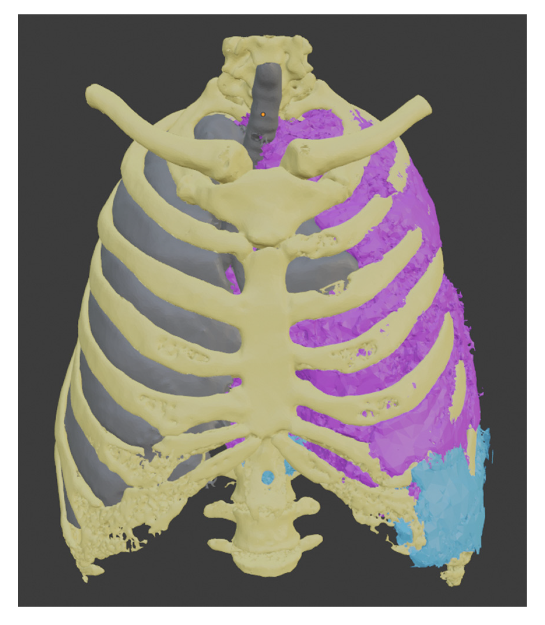 Asi 05 00116 g008 Asi 05 00116 g008