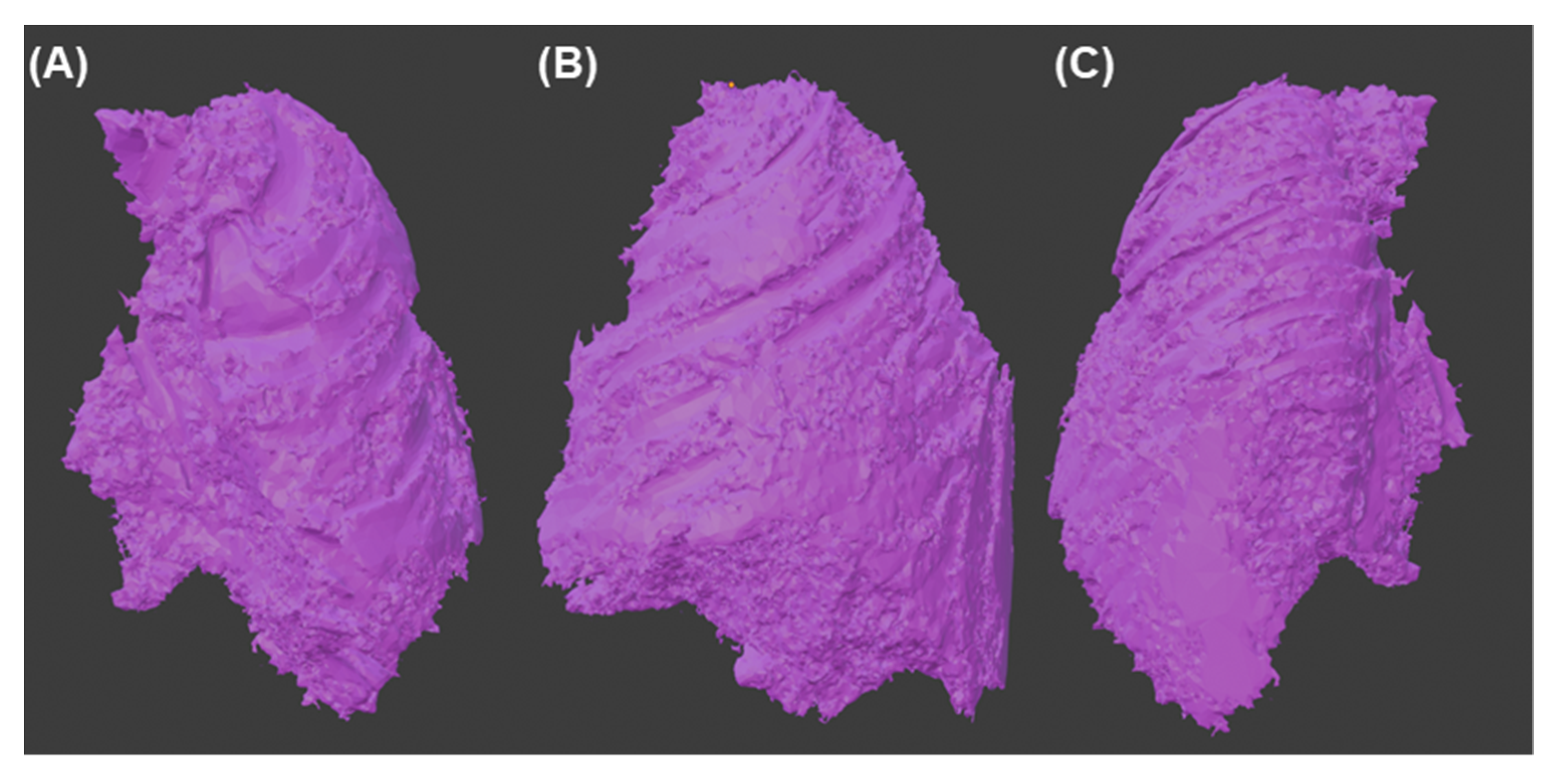 Asi 05 00116 g009 Asi 05 00116 g009