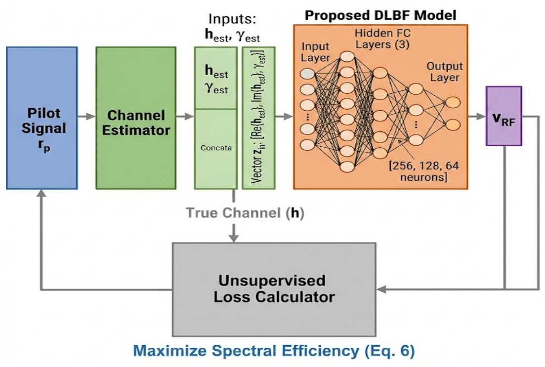 Design of Deep Learning-Based Beamforming for mm-Wave Massive MIMO