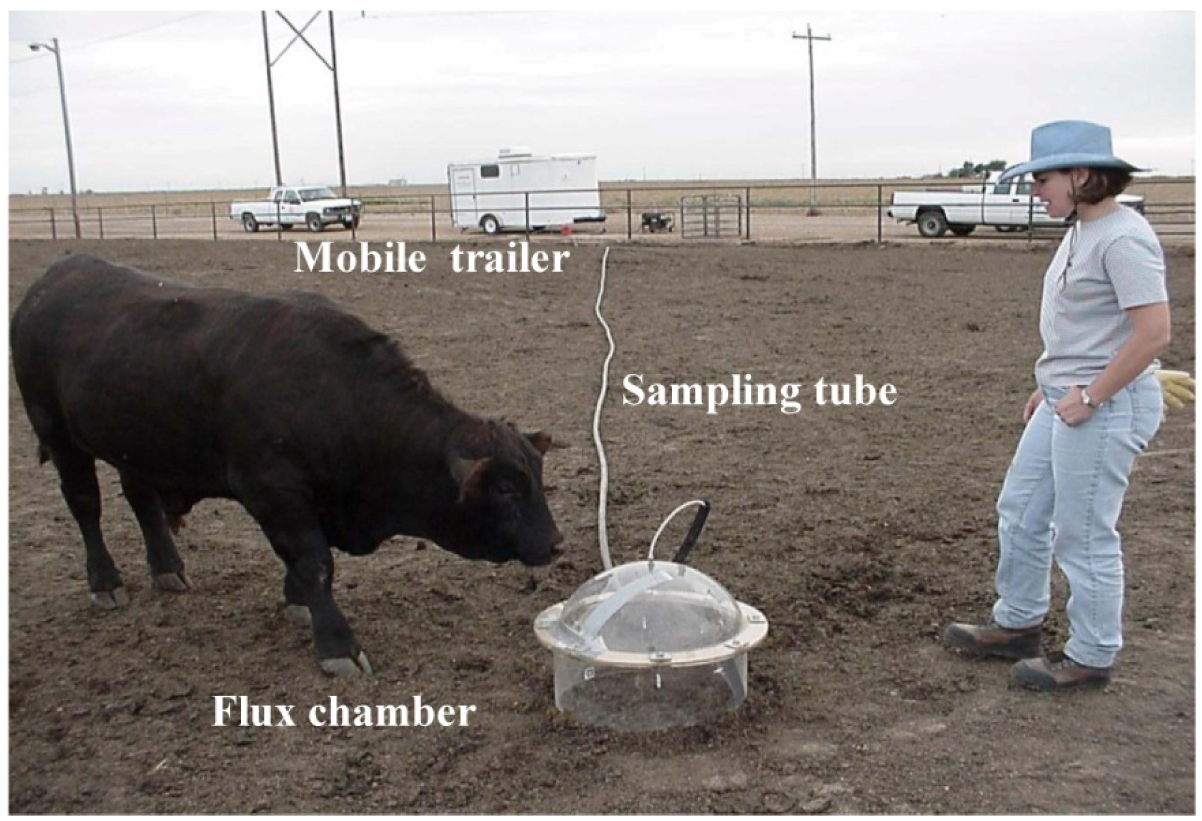 Atmosphere 02 00303f3 1024