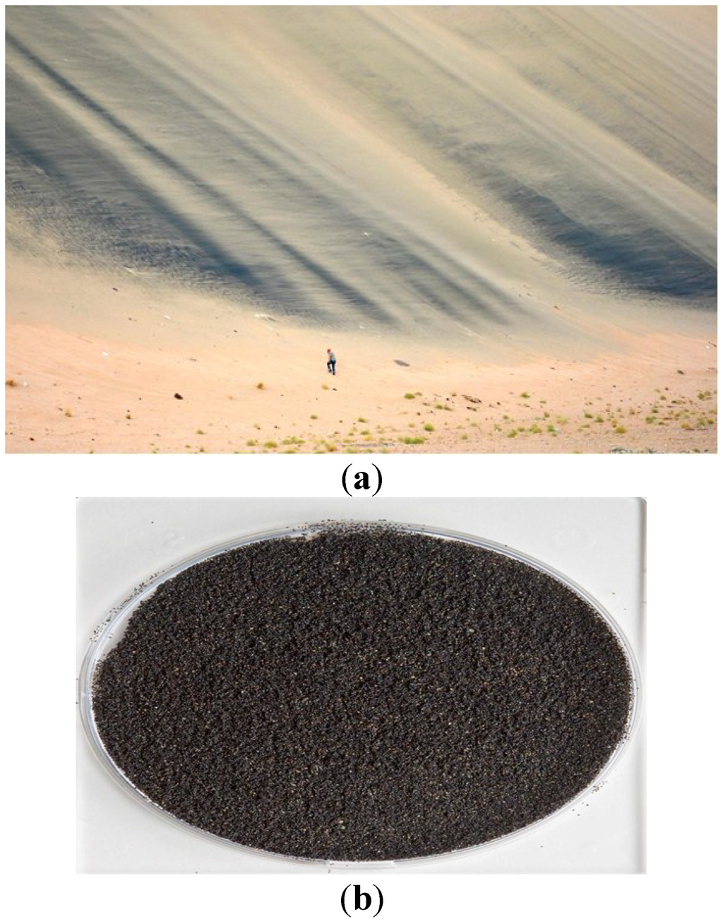 Eating Sand-like Material Could Help You Lose Weight - MDPI Blog