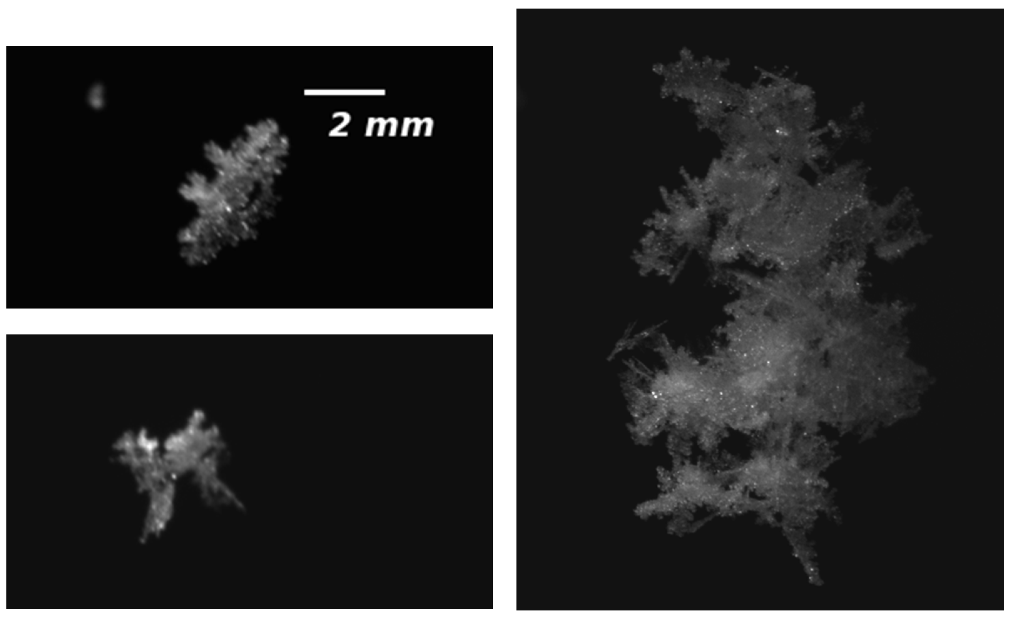 Atmosphere 07 00081 g026 1024