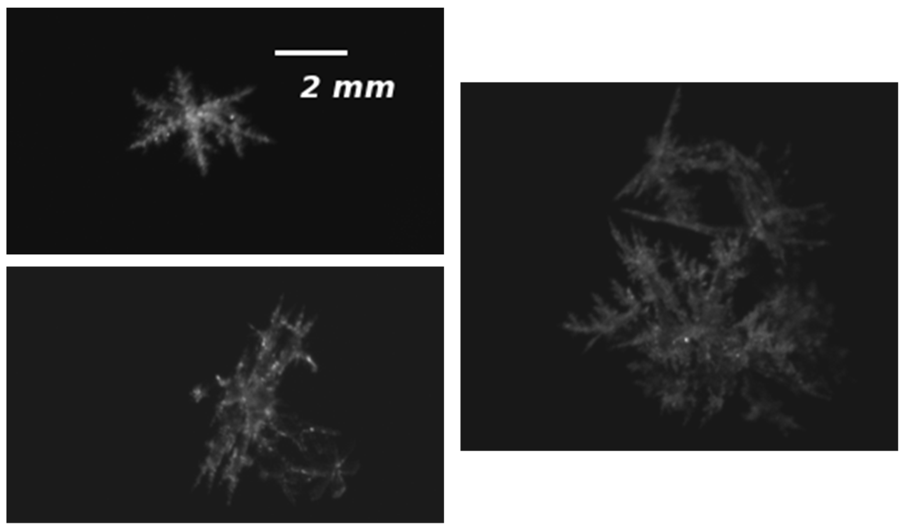 Atmosphere 07 00081 g036 1024