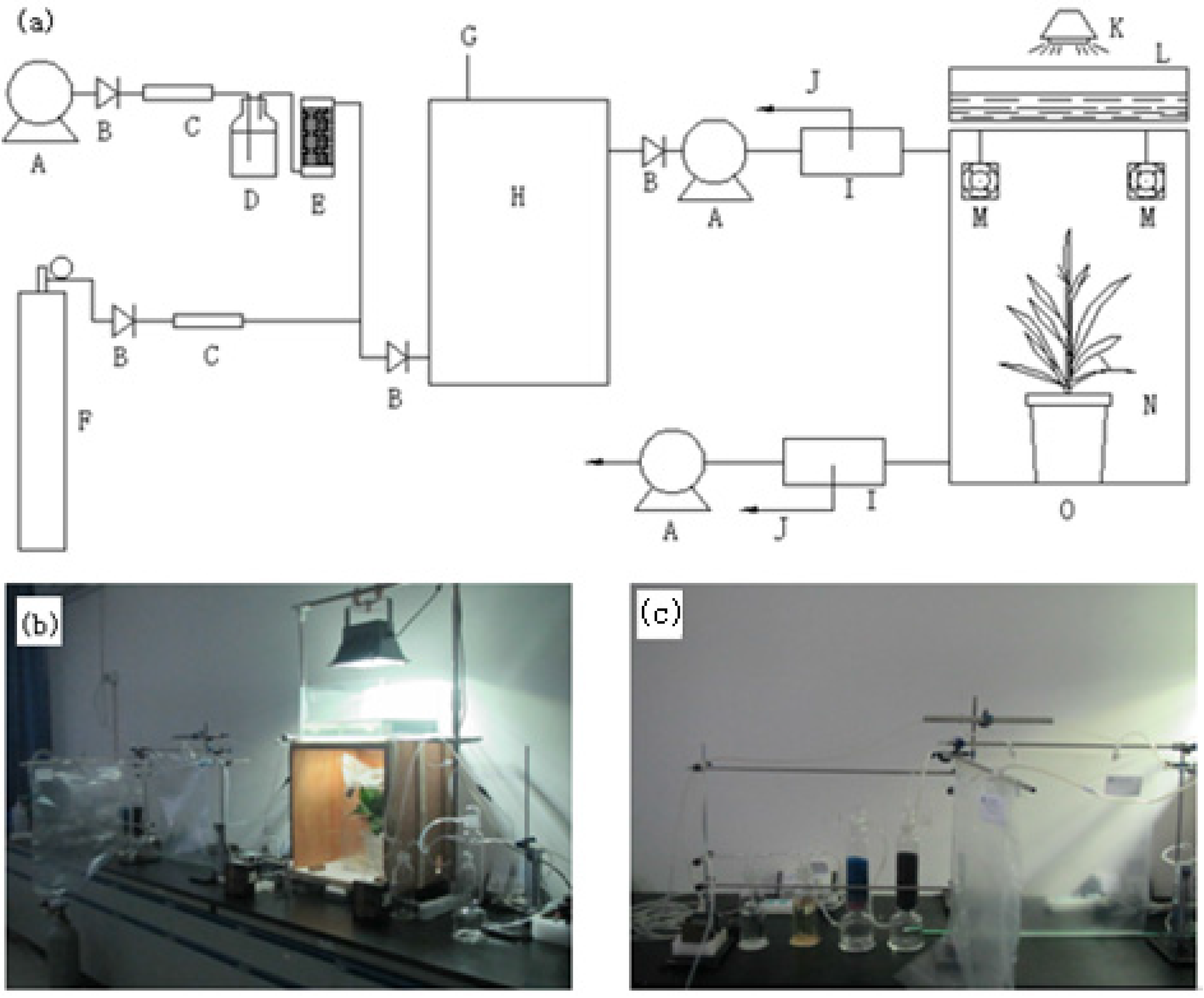 Atmosphere 07 00144 g001