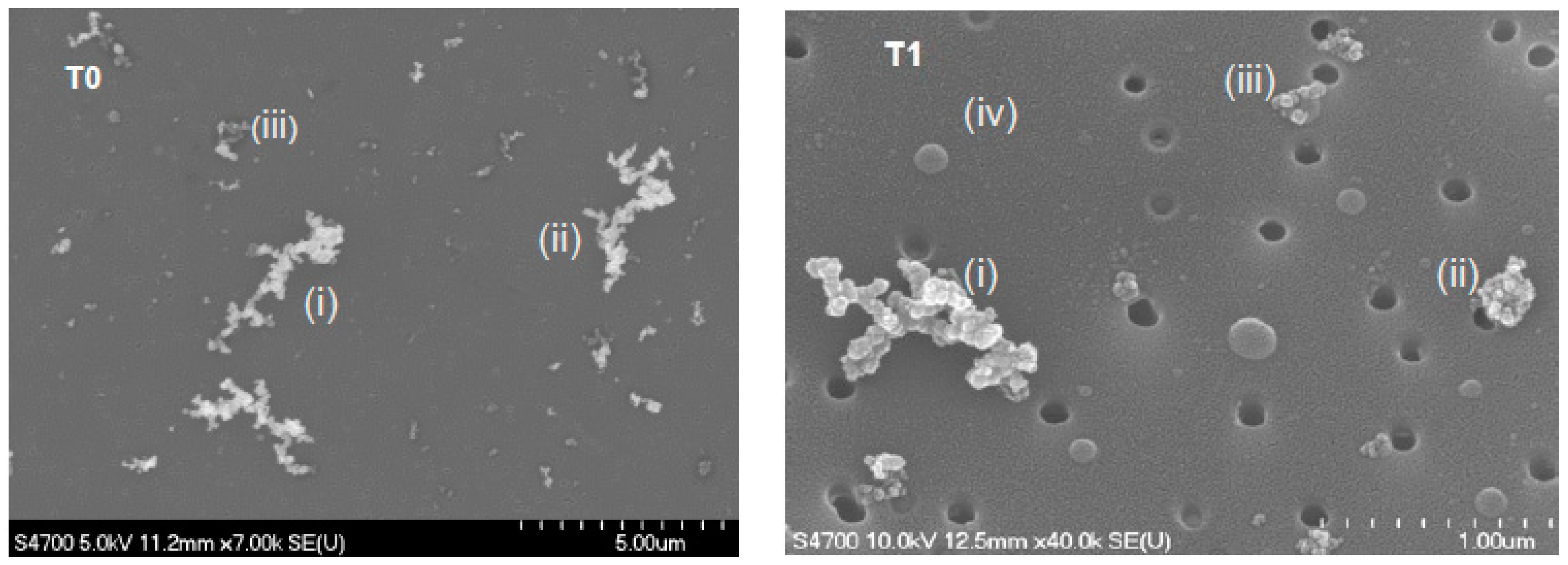 Atmosphere 08 00217 g003 Atmosphere 08 00217 g003