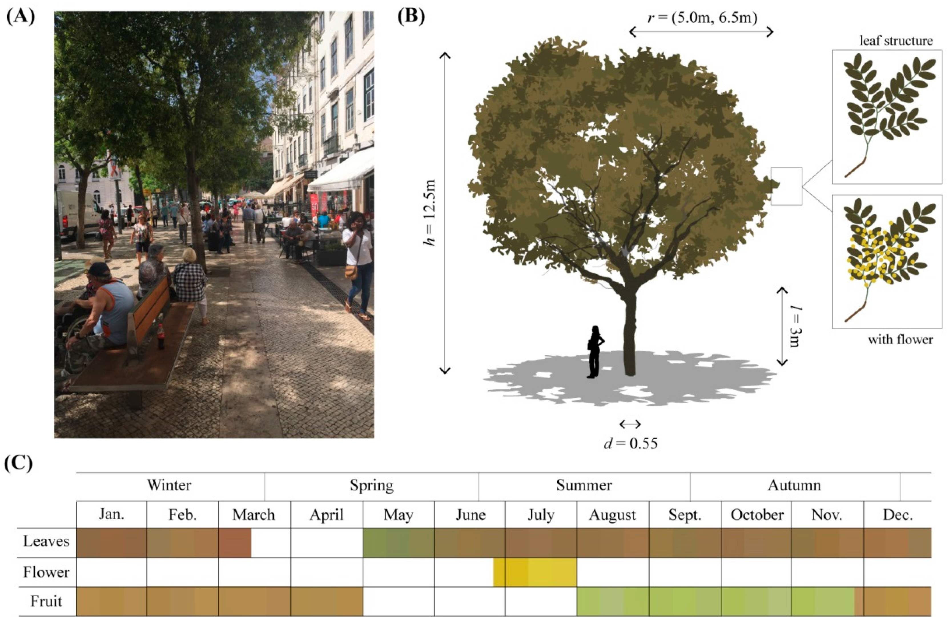 Atmosphere 09 00012 g002