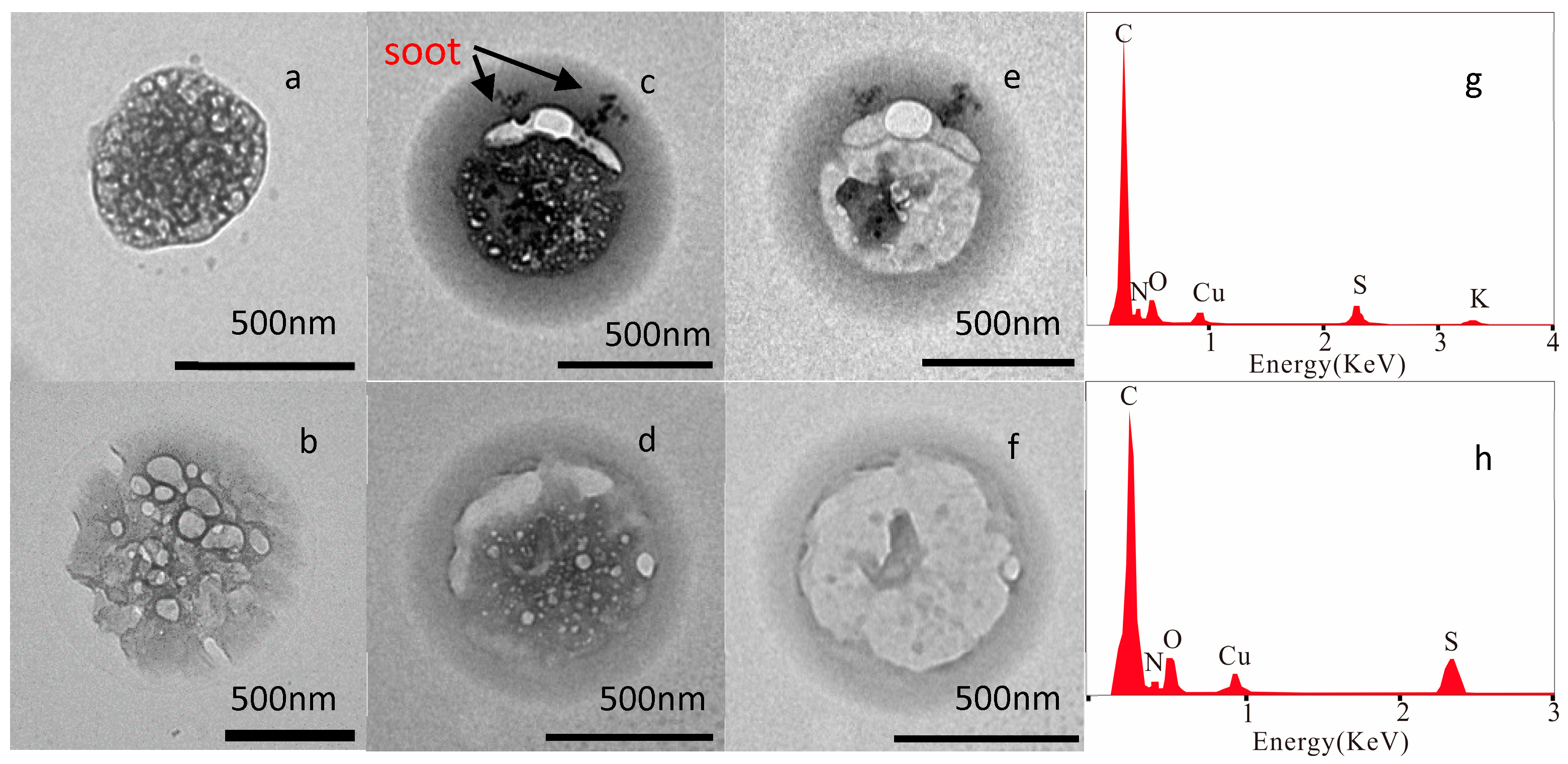 Atmosphere 09 00040 g002 Atmosphere 09 00040 g002