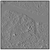 Atmosphere 09 00164 i003 Atmosphere 09 00164 i003