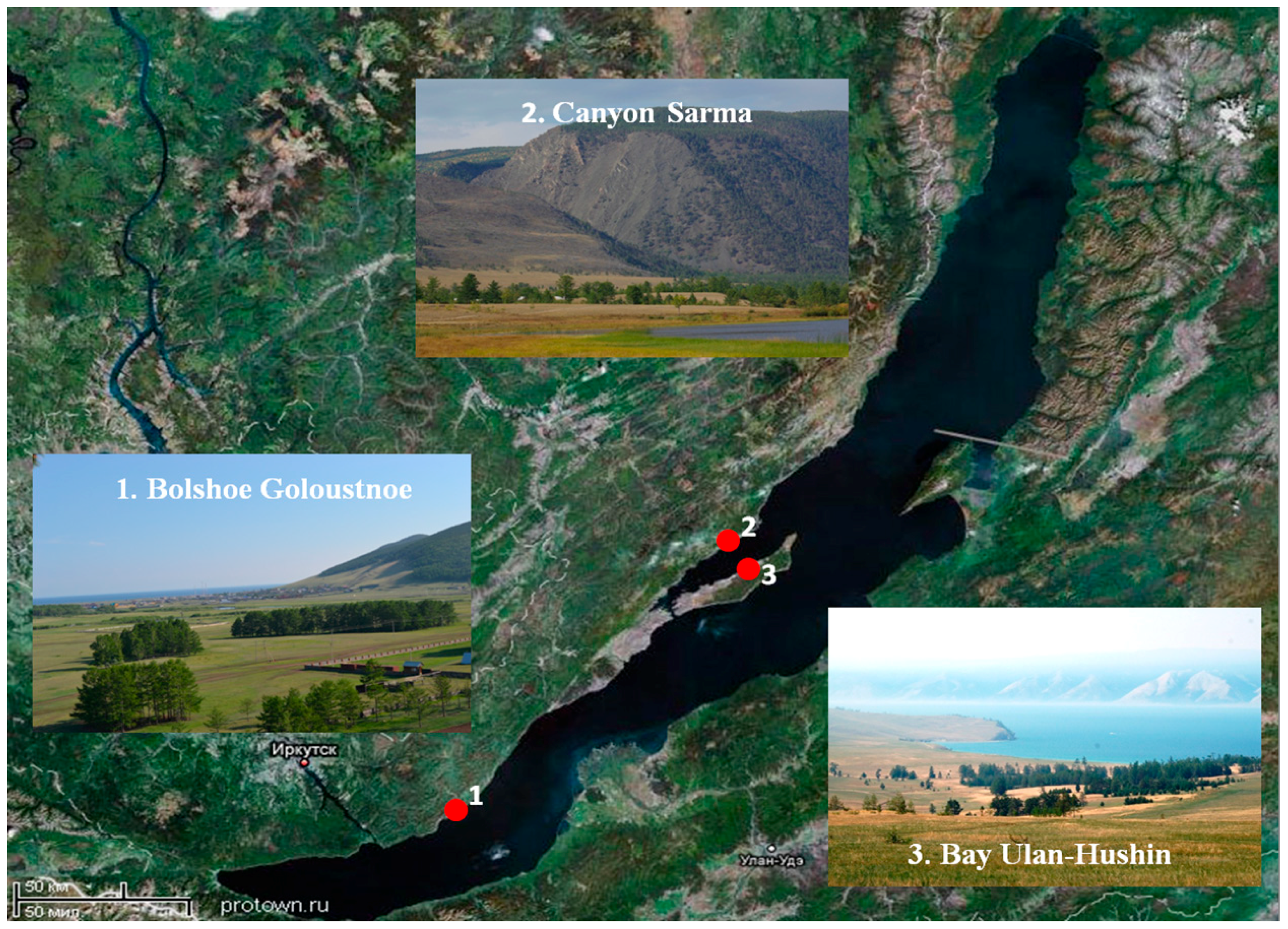 Atmosphere 09 00176 g001 550