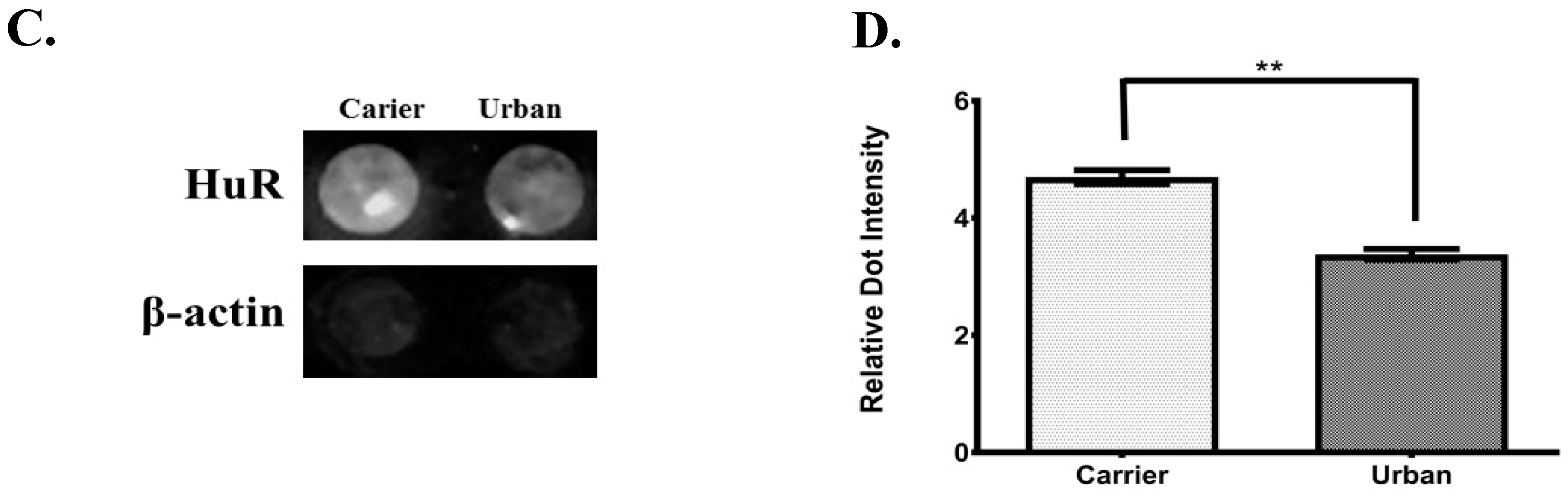 Atmosphere 10 00270 g007b Atmosphere 10 00270 g007b
