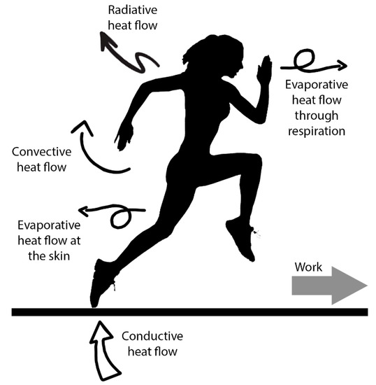 Basic mechanisms of heat transfer in a match flame: convection (allowed