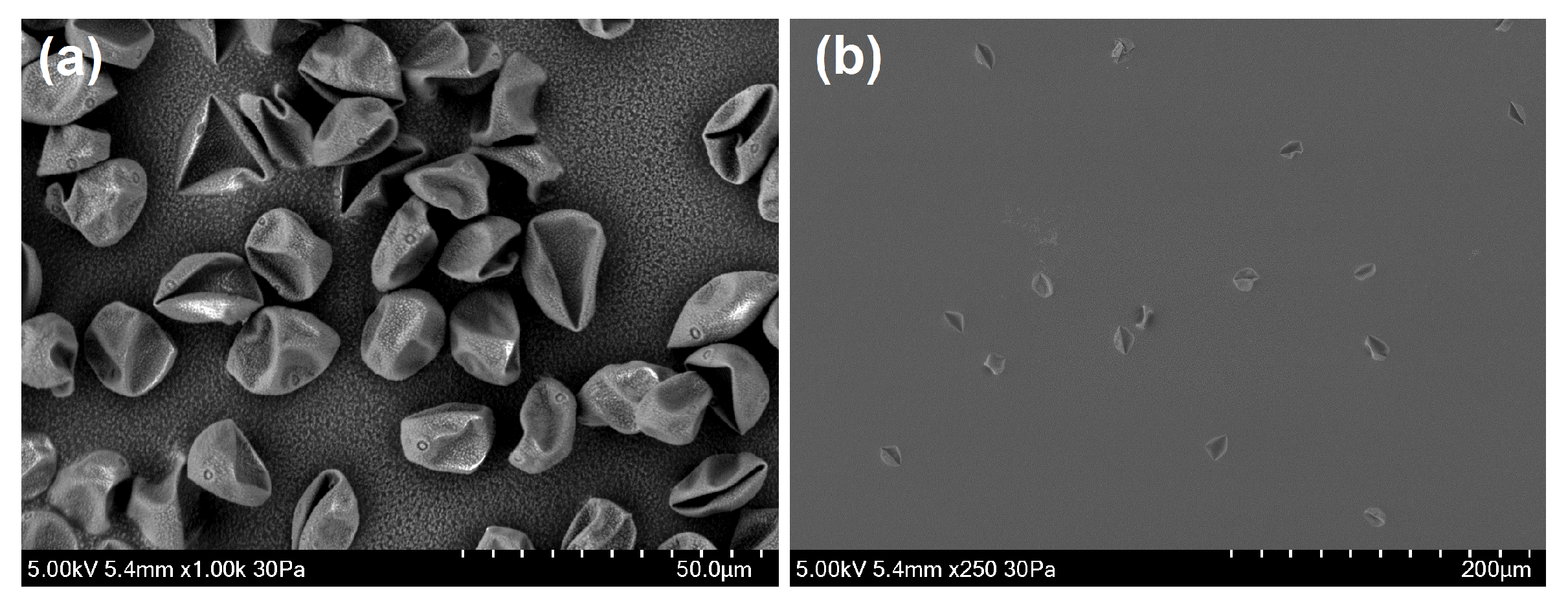 Atmosphere 10 00797 g005