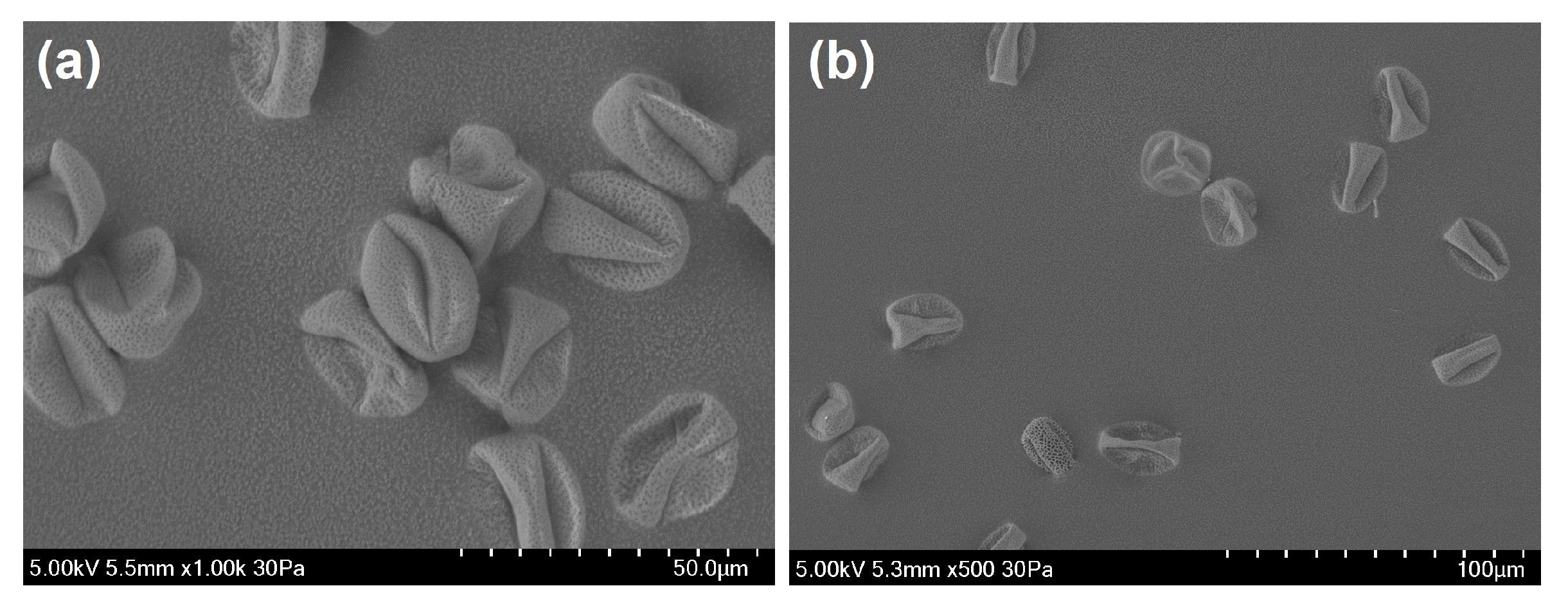 Atmosphere 10 00797 g009