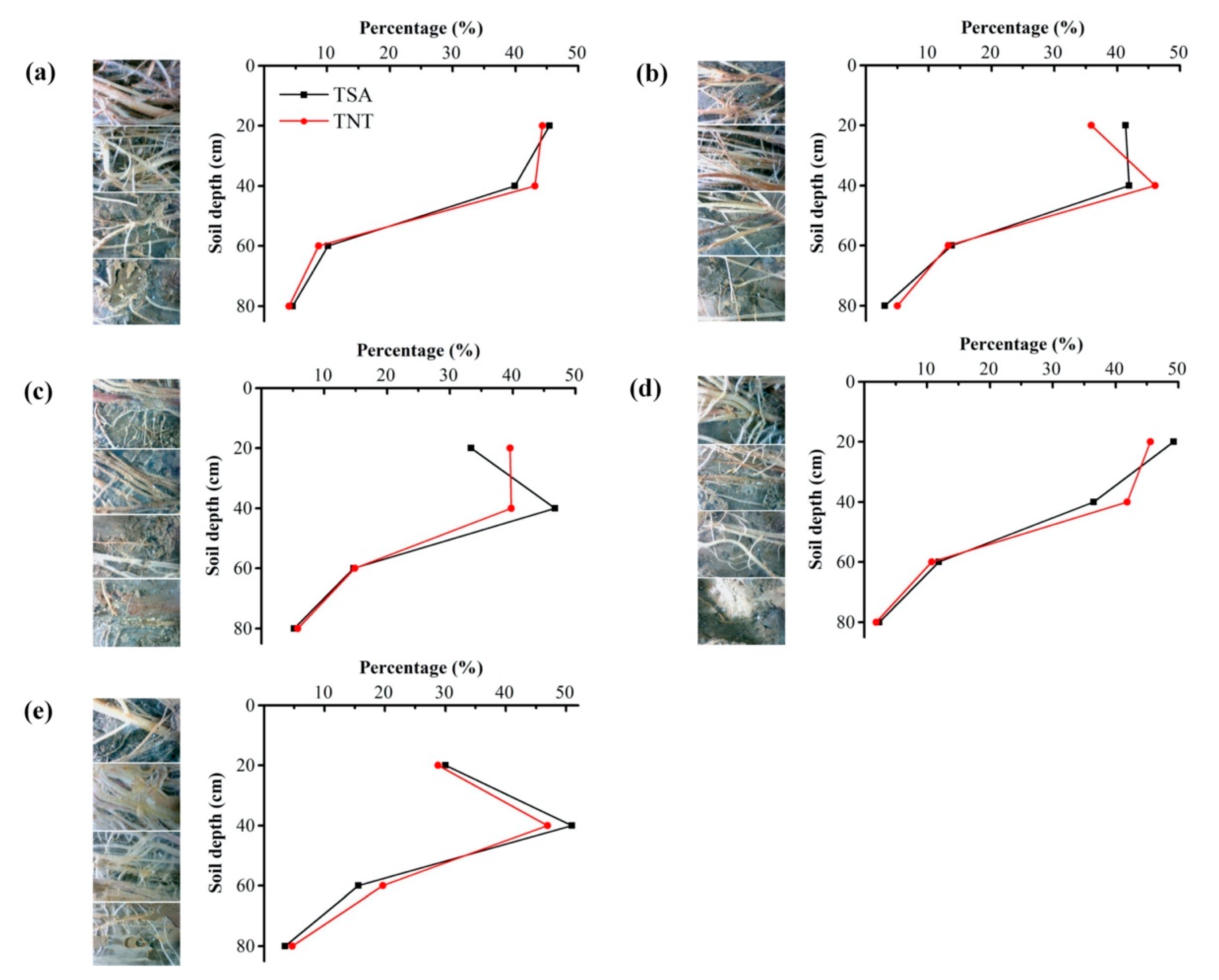 Atmosphere 11 00021 g003