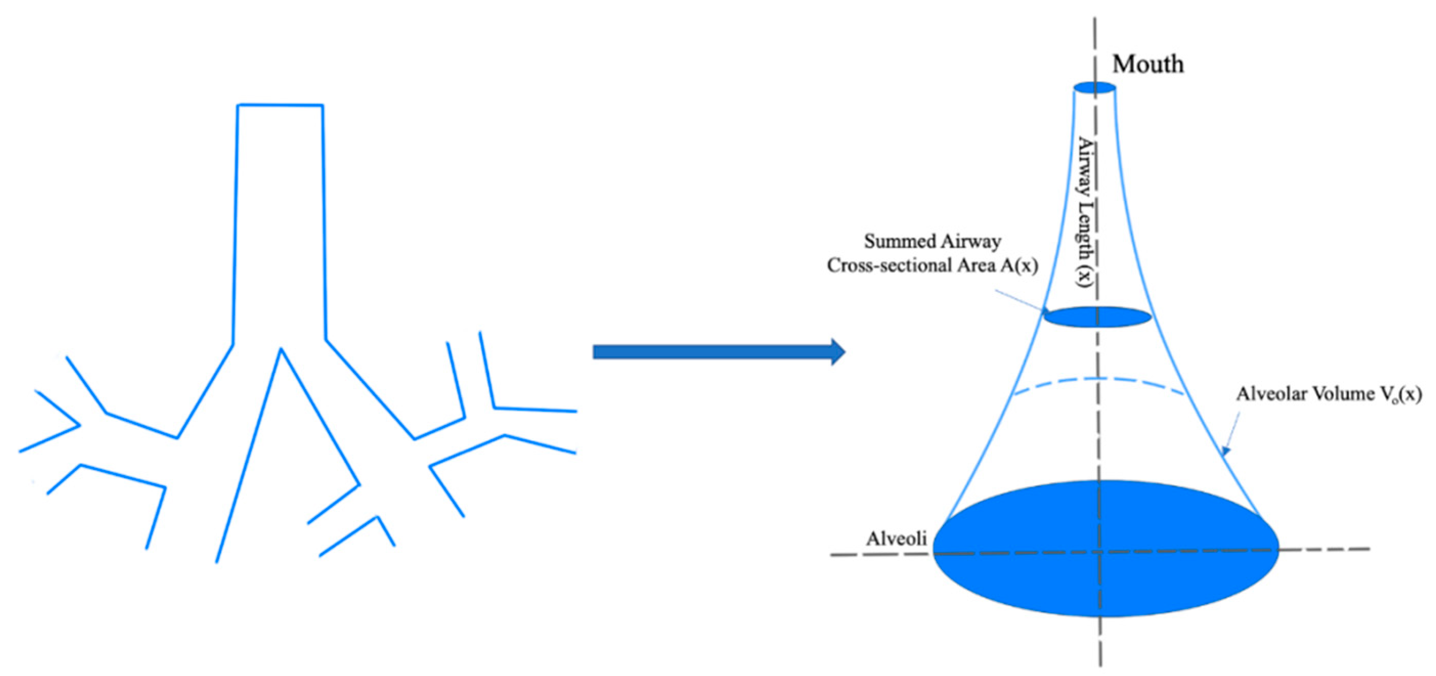 Atmosphere 11 00137 g006