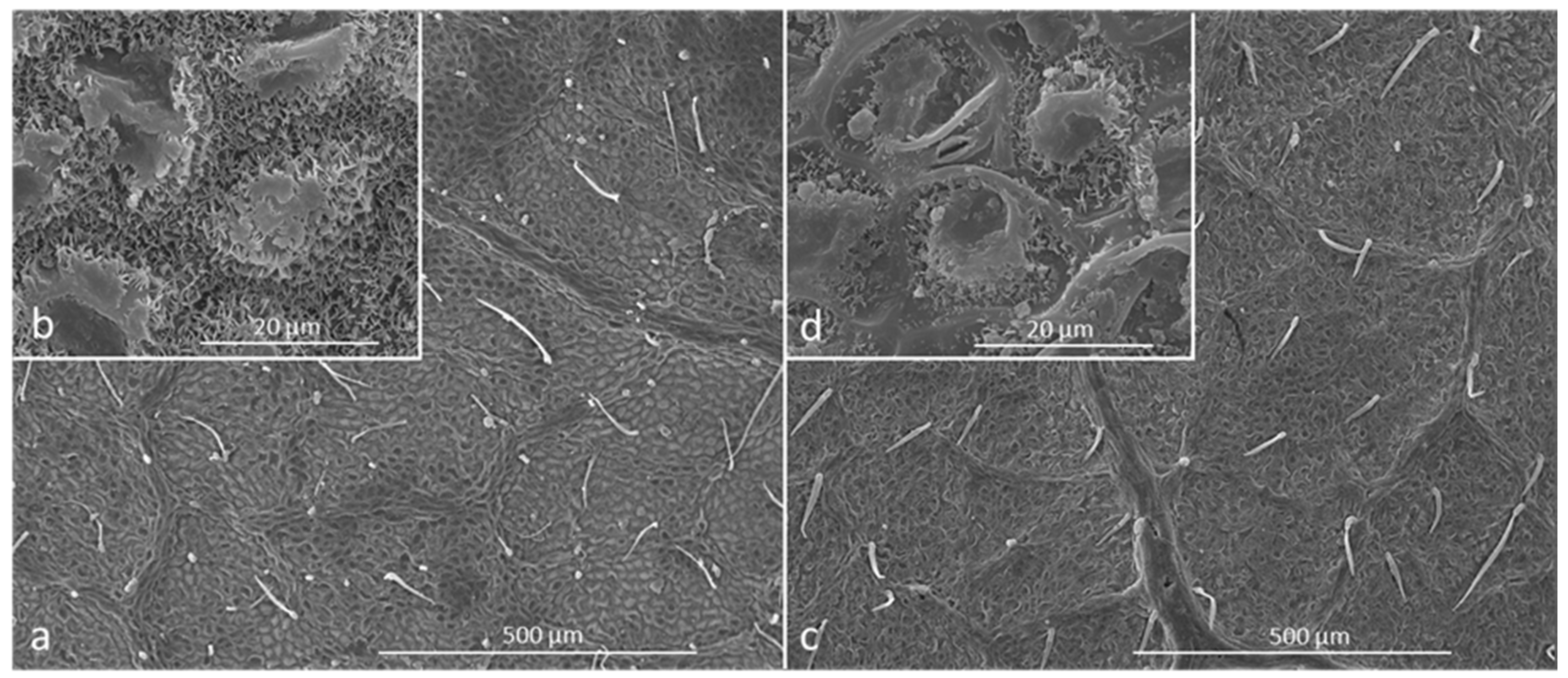 Atmosphere 11 00148 g002