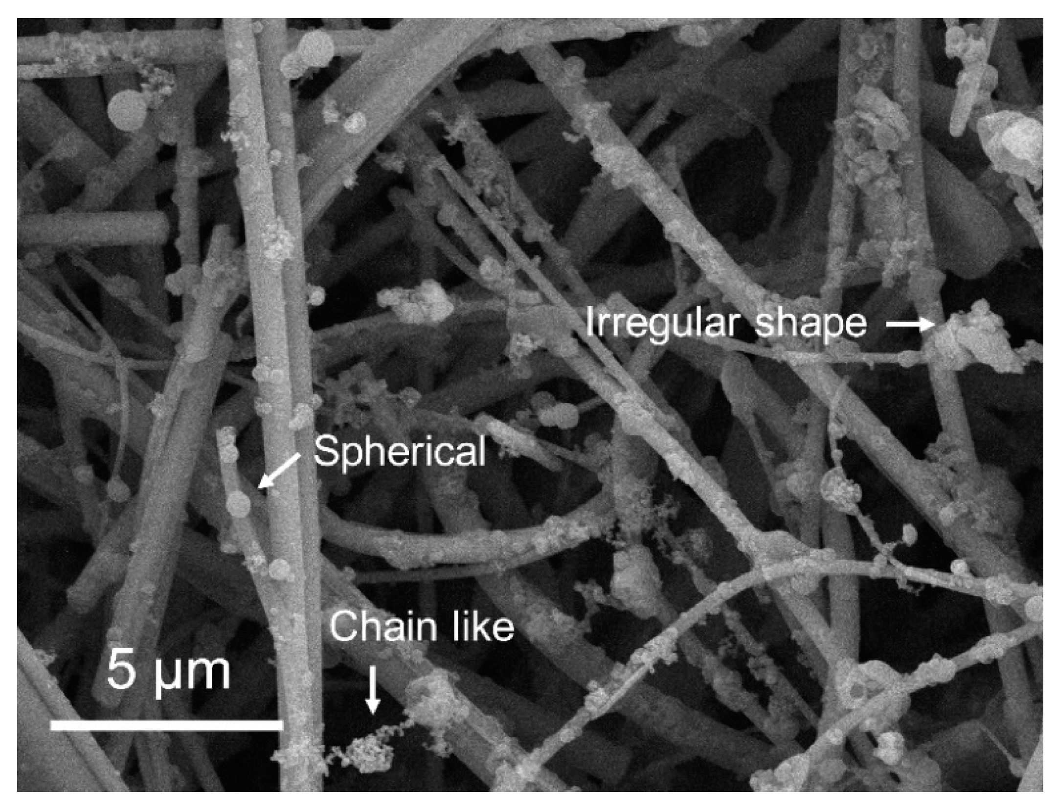 Atmosphere 11 00179 g003 Atmosphere 11 00179 g003