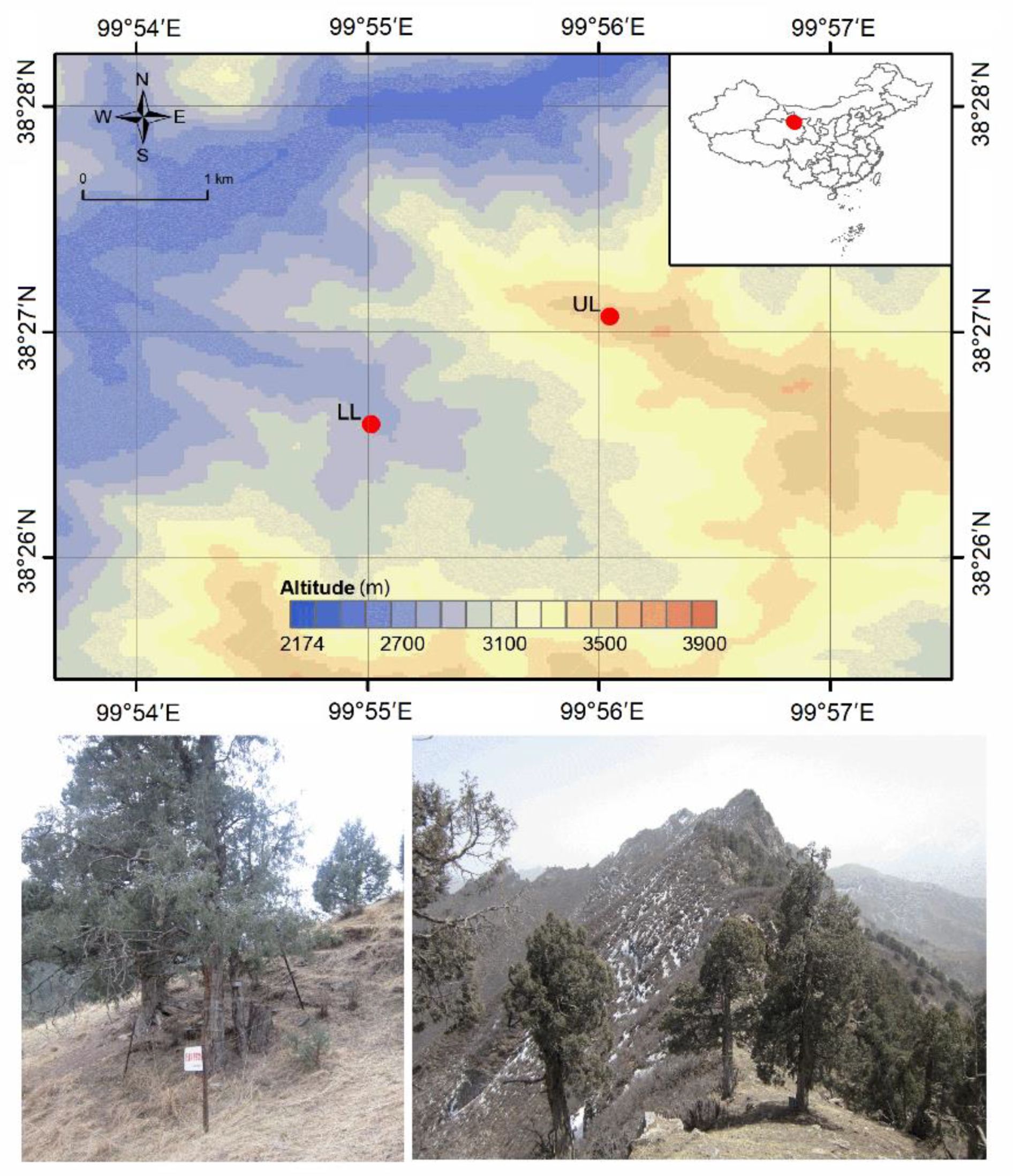 Atmosphere 11 00232 g001 Atmosphere 11 00232 g001
