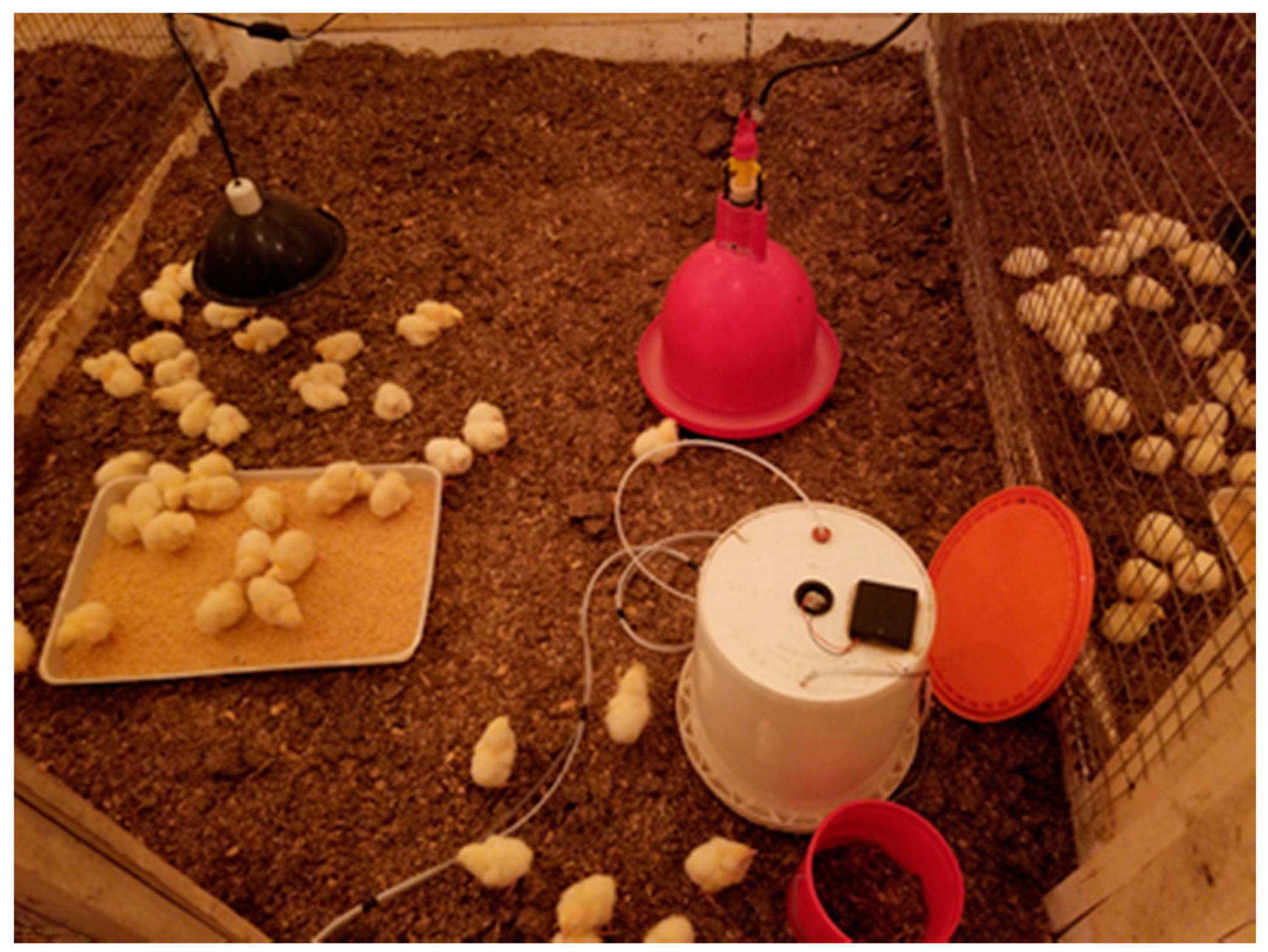 Atmosphere 11 00257 g001