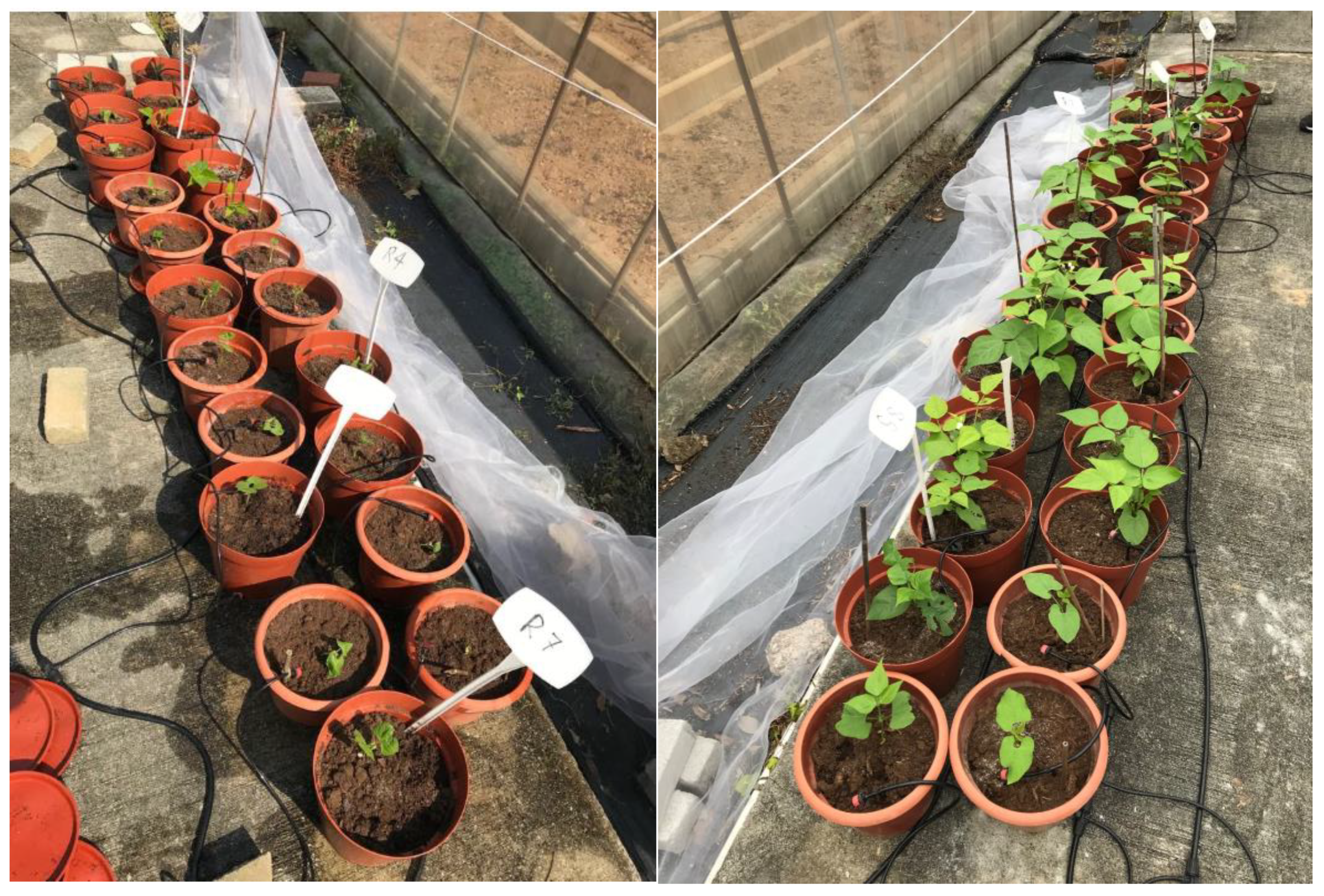 Atmosphere 11 00266 g0a2