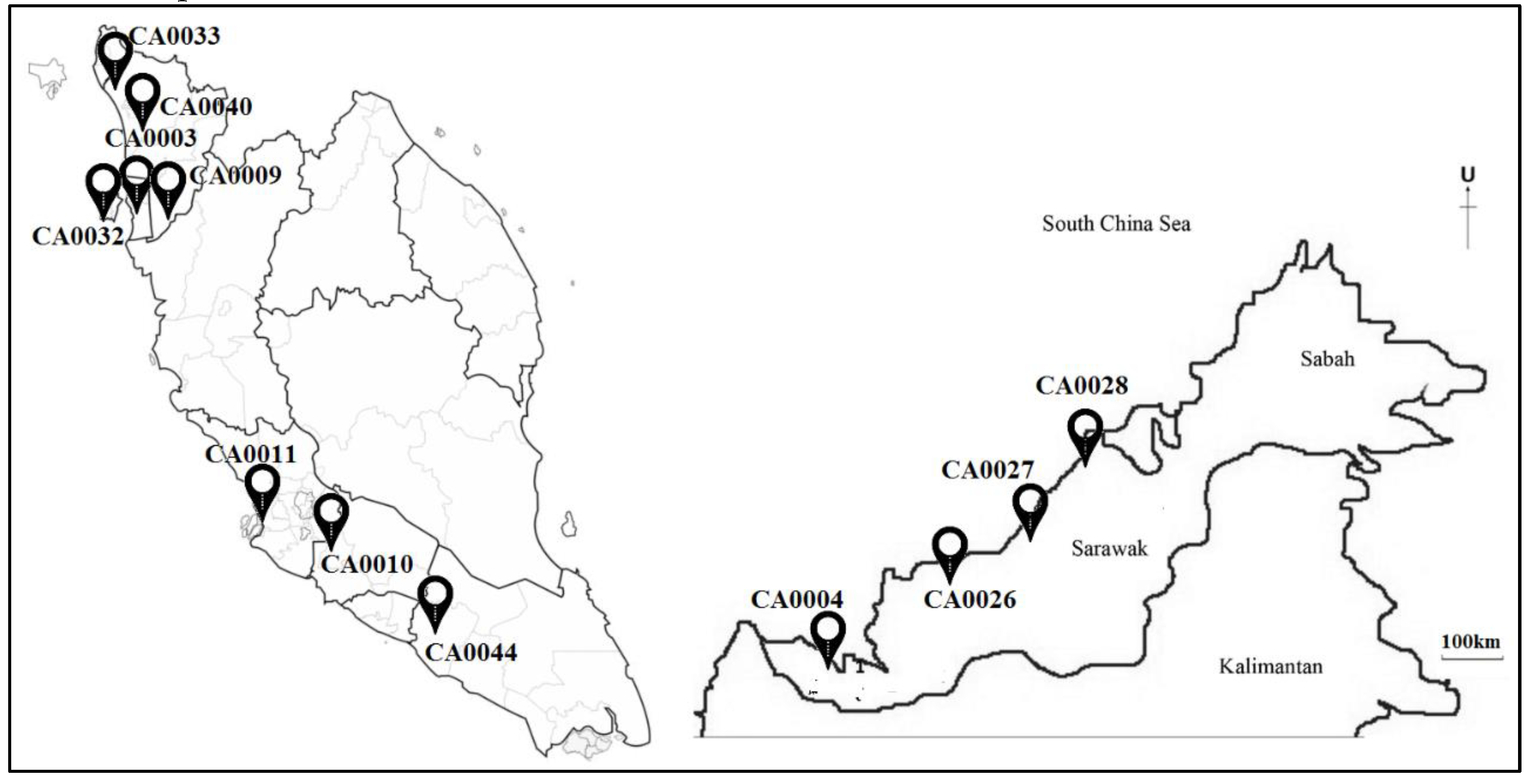 Atmosphere Free Full Text Development Of Multiple Linear Regression For Particulate Matter Pm10 Forecasting During Episodic Transboundary Haze Event In Malaysia Html