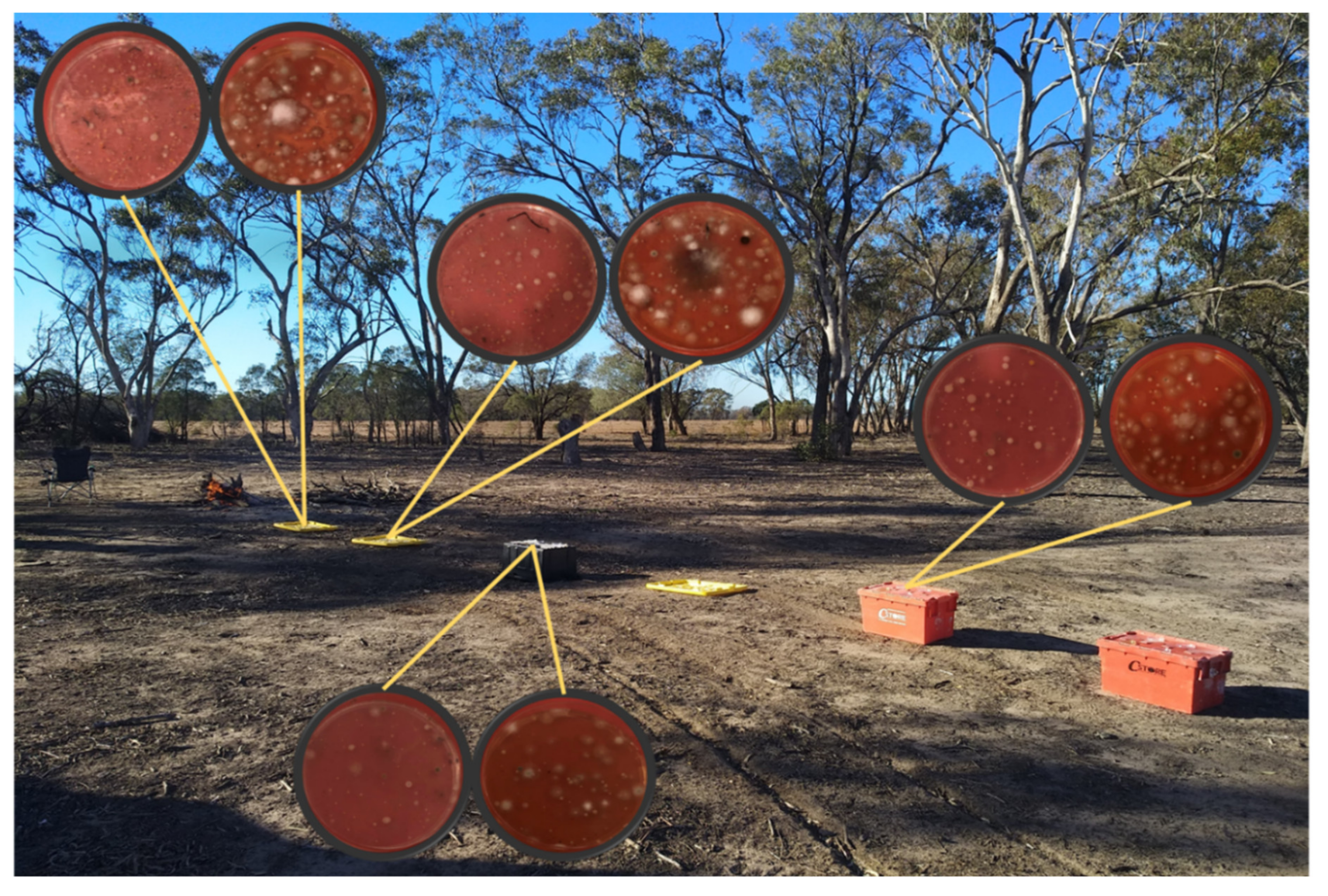 Atmosphere 11 00313 g001 Atmosphere 11 00313 g001