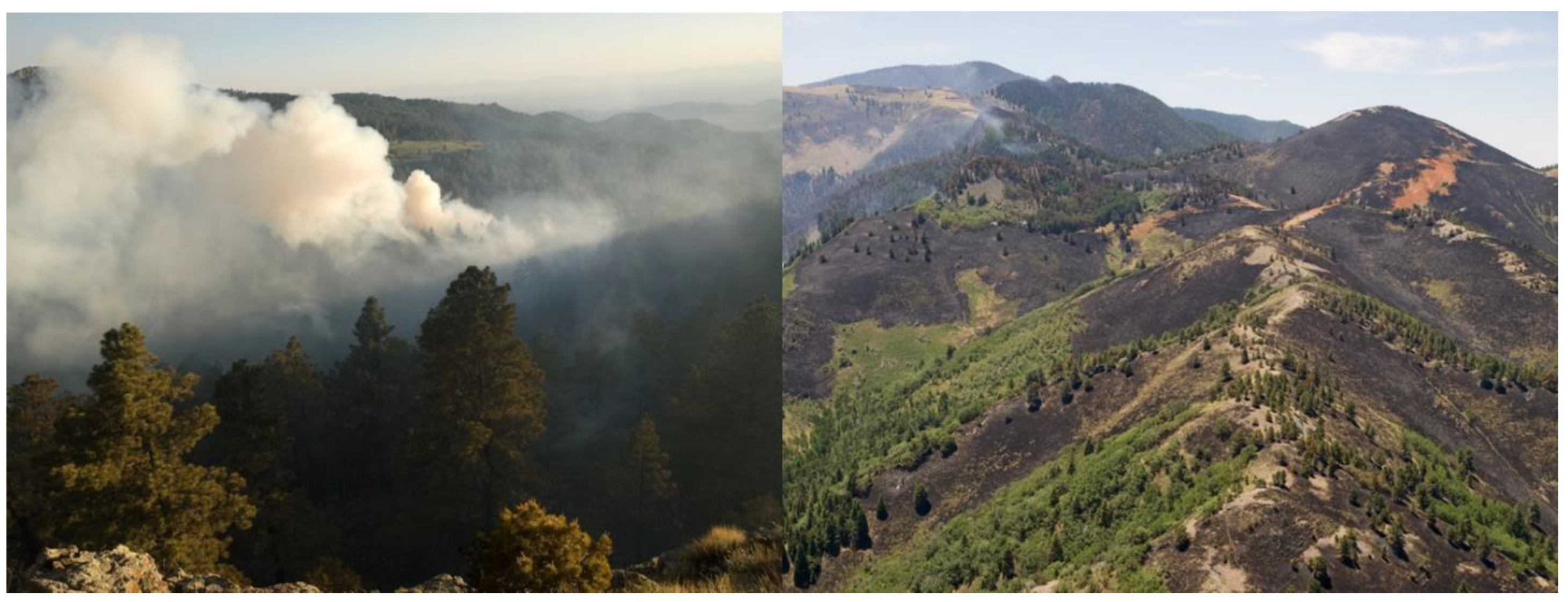 Atmosphere 11 00363 g012