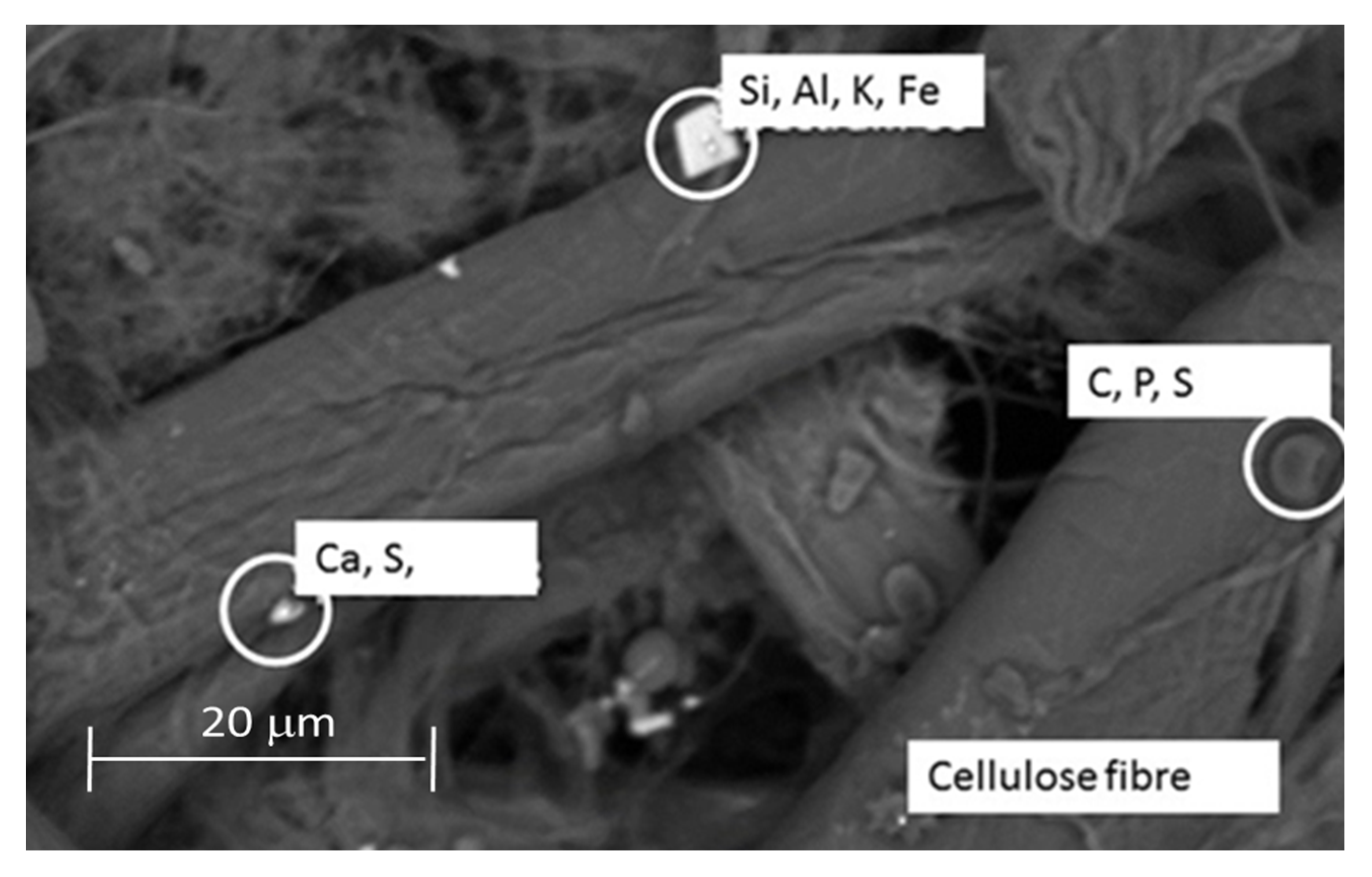 Atmosphere 11 00390 g003 Atmosphere 11 00390 g003