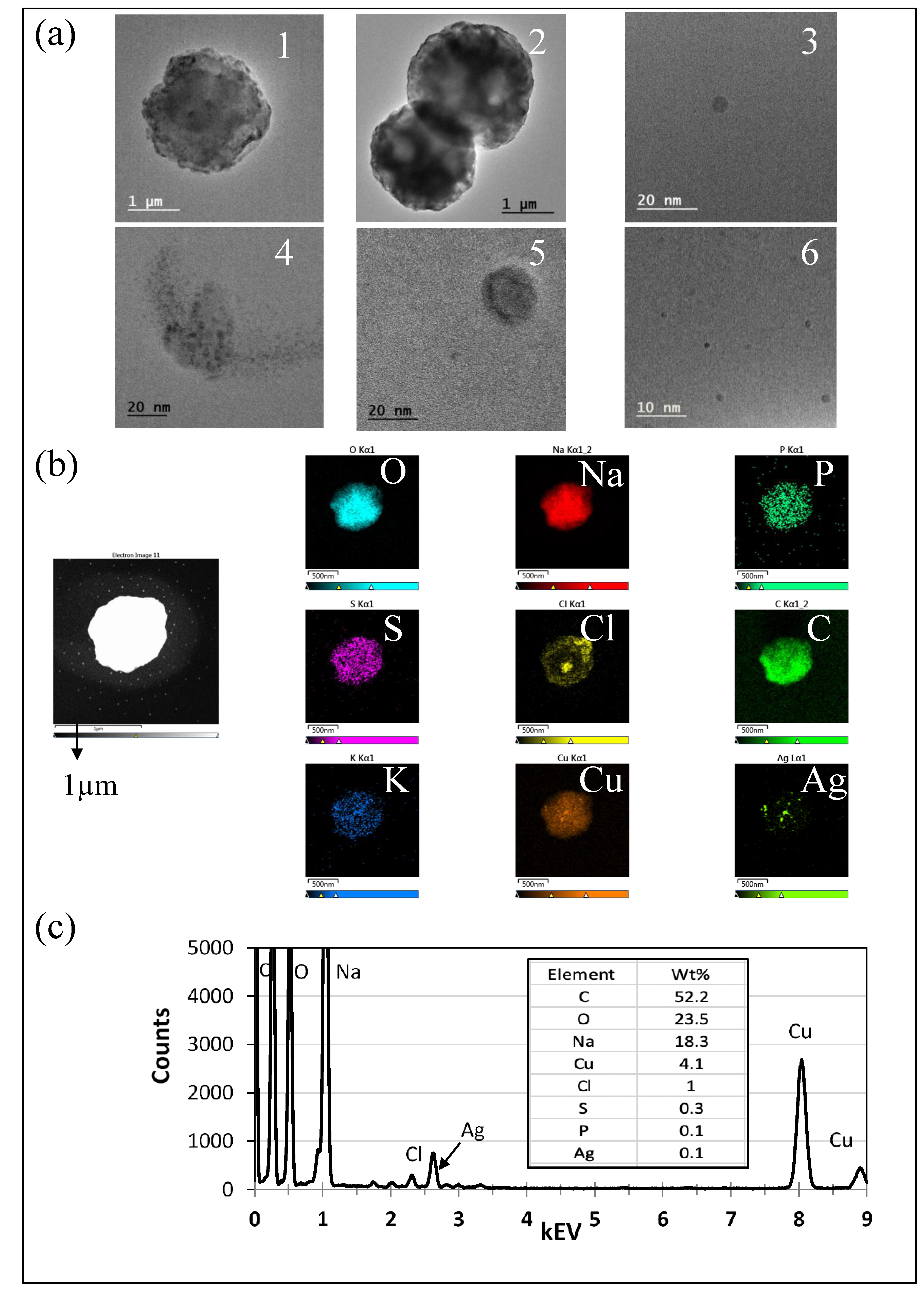 Atmosphere 11 00403 g007 Atmosphere 11 00403 g007