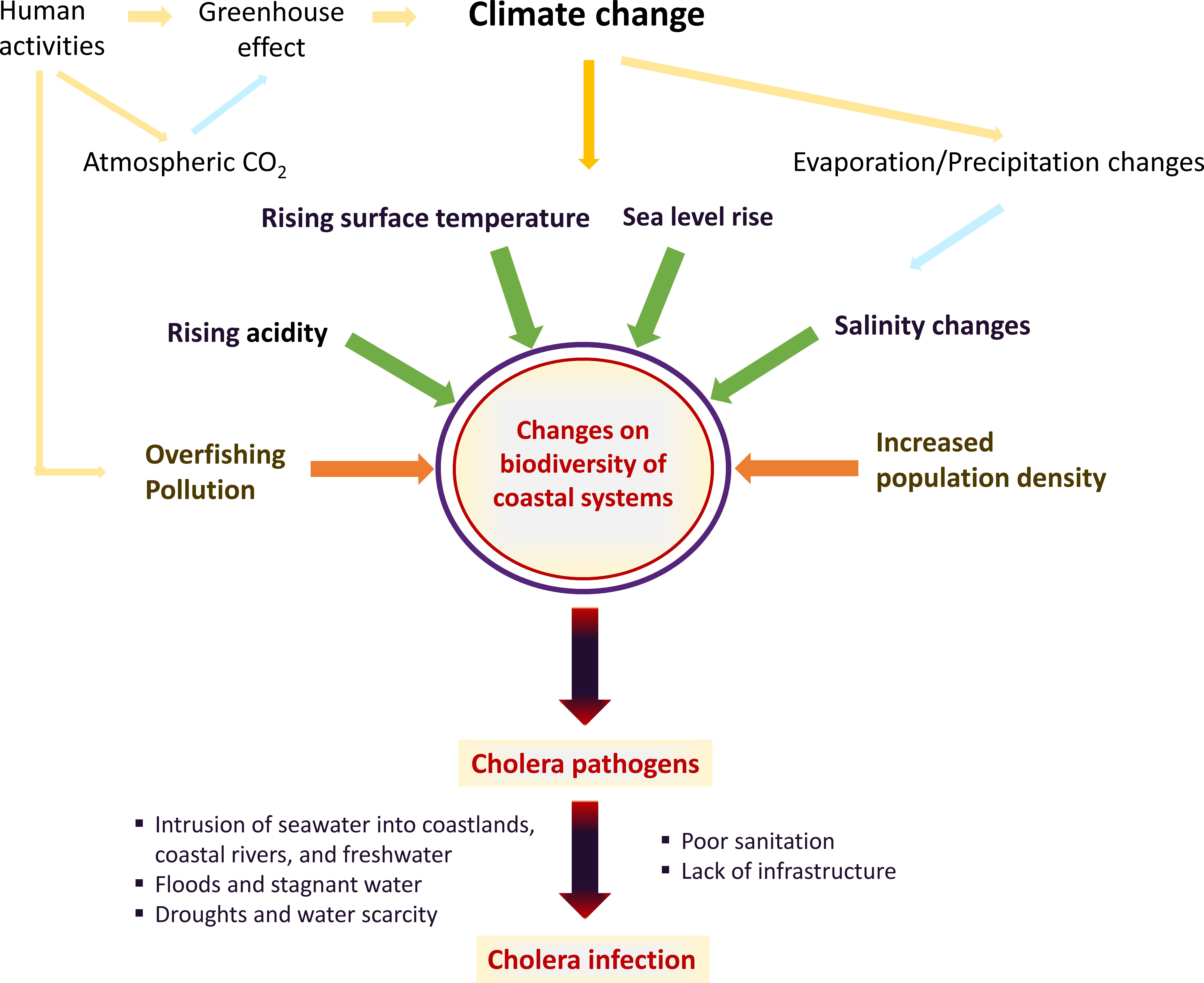 Best peer reviewed articles on climate change