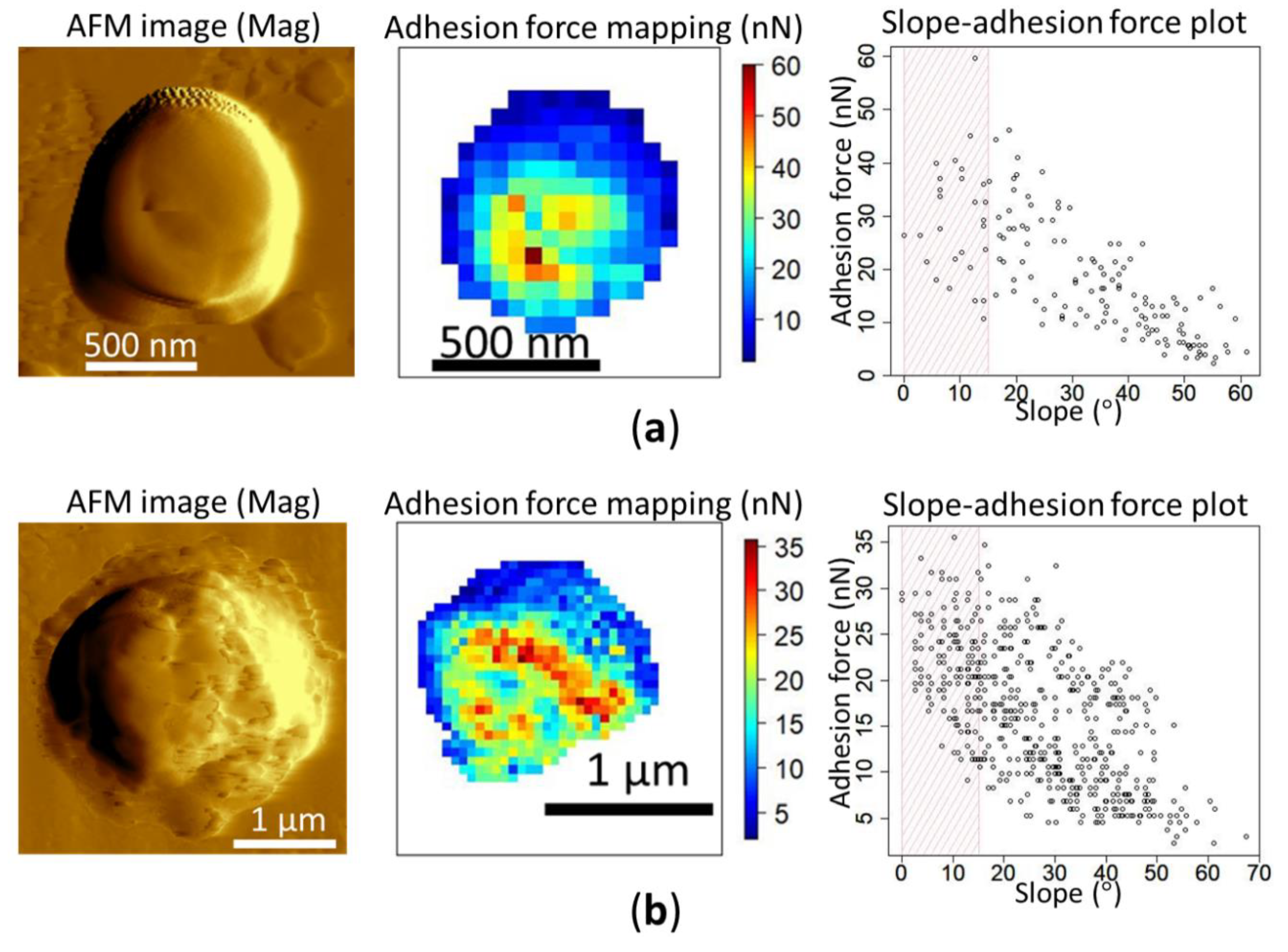 Atmosphere 11 00489 g004