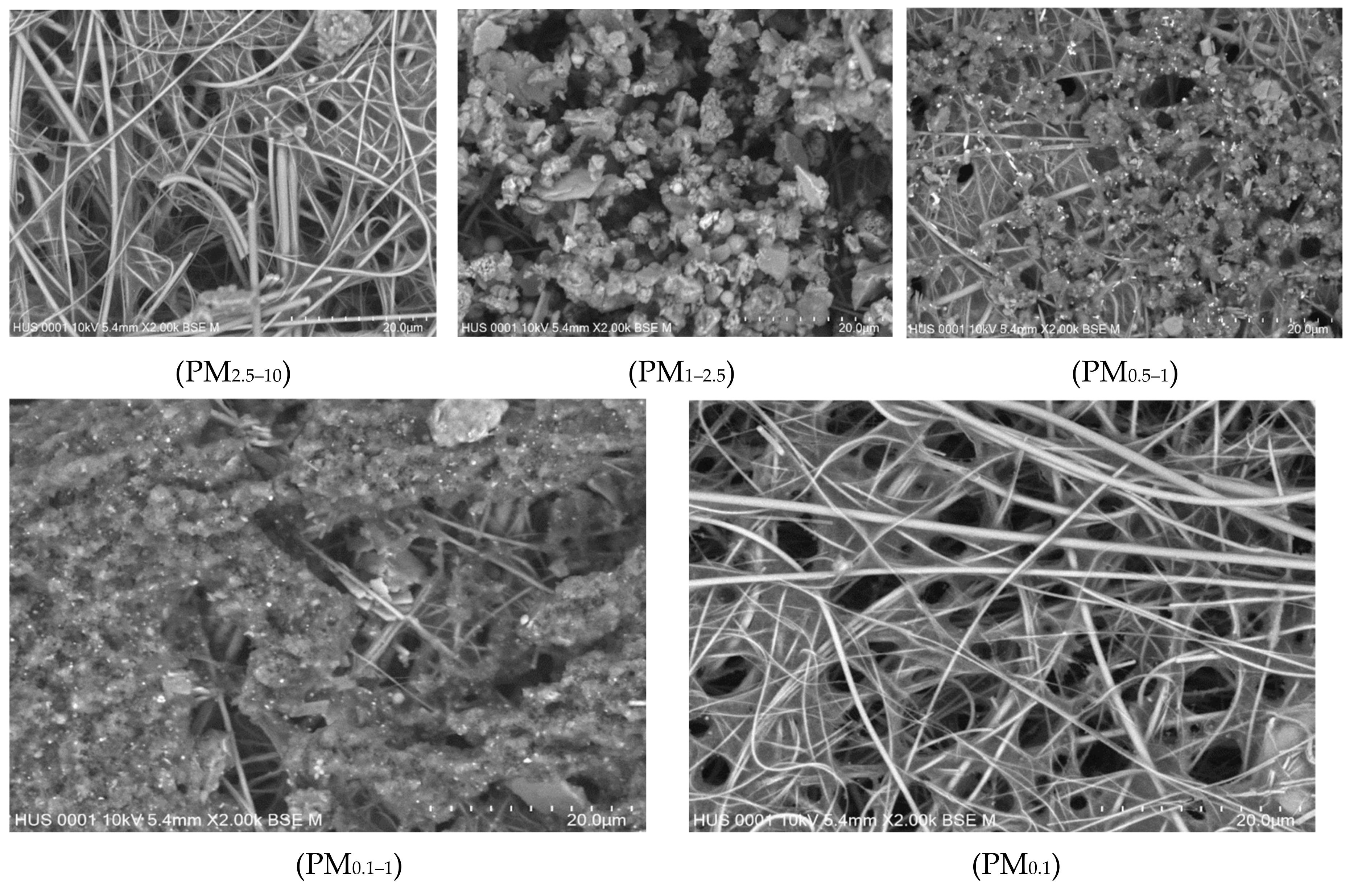 Atmosphere 11 00519 g003