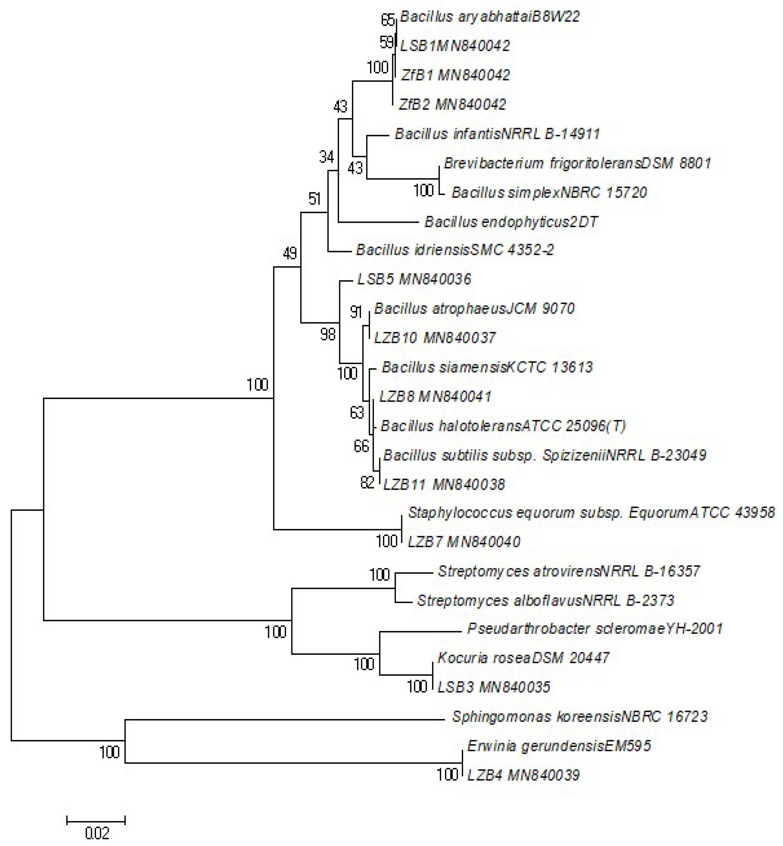 Atmosphere 11 00527 g005 Atmosphere 11 00527 g005