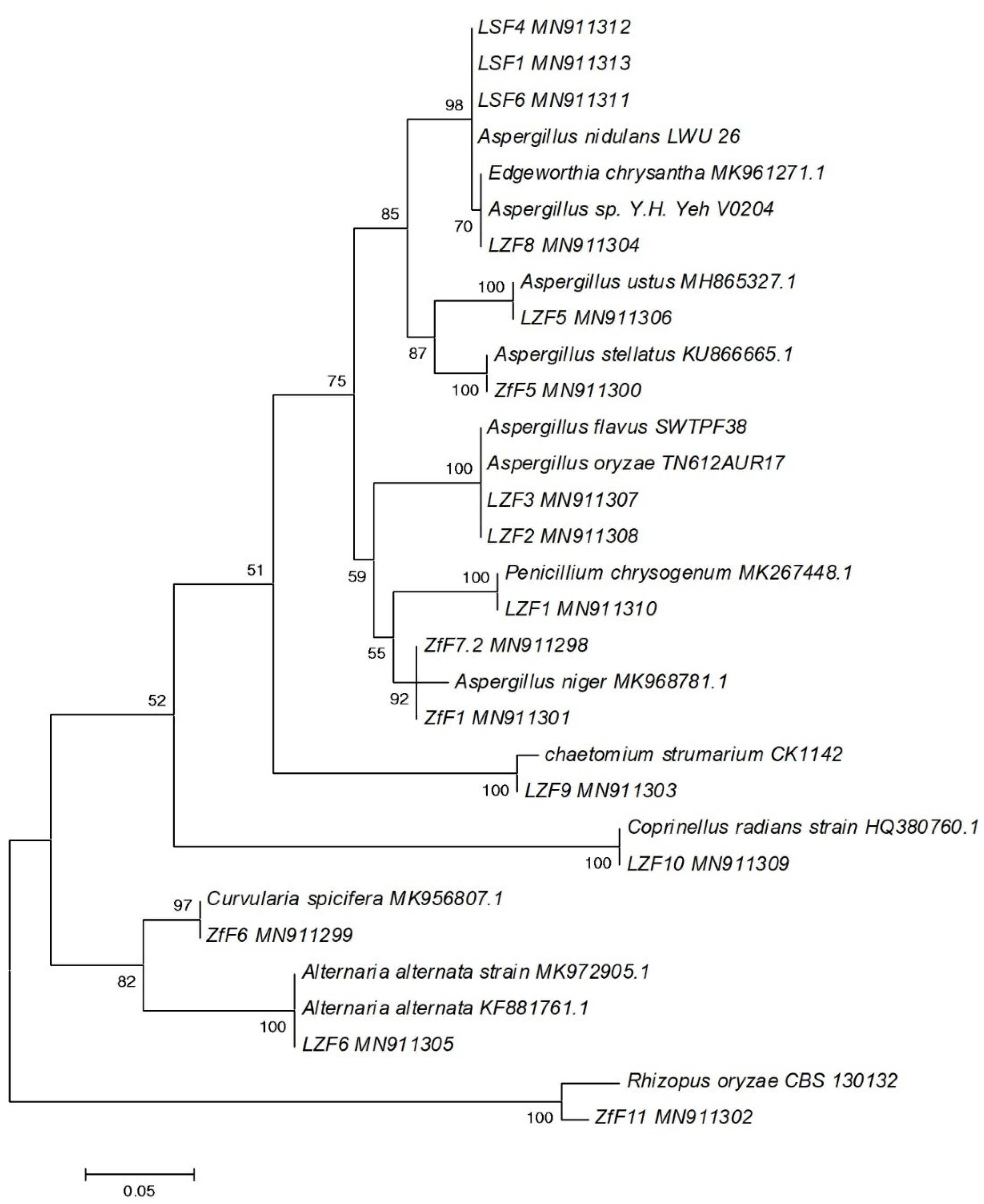 Atmosphere 11 00527 g006 Atmosphere 11 00527 g006