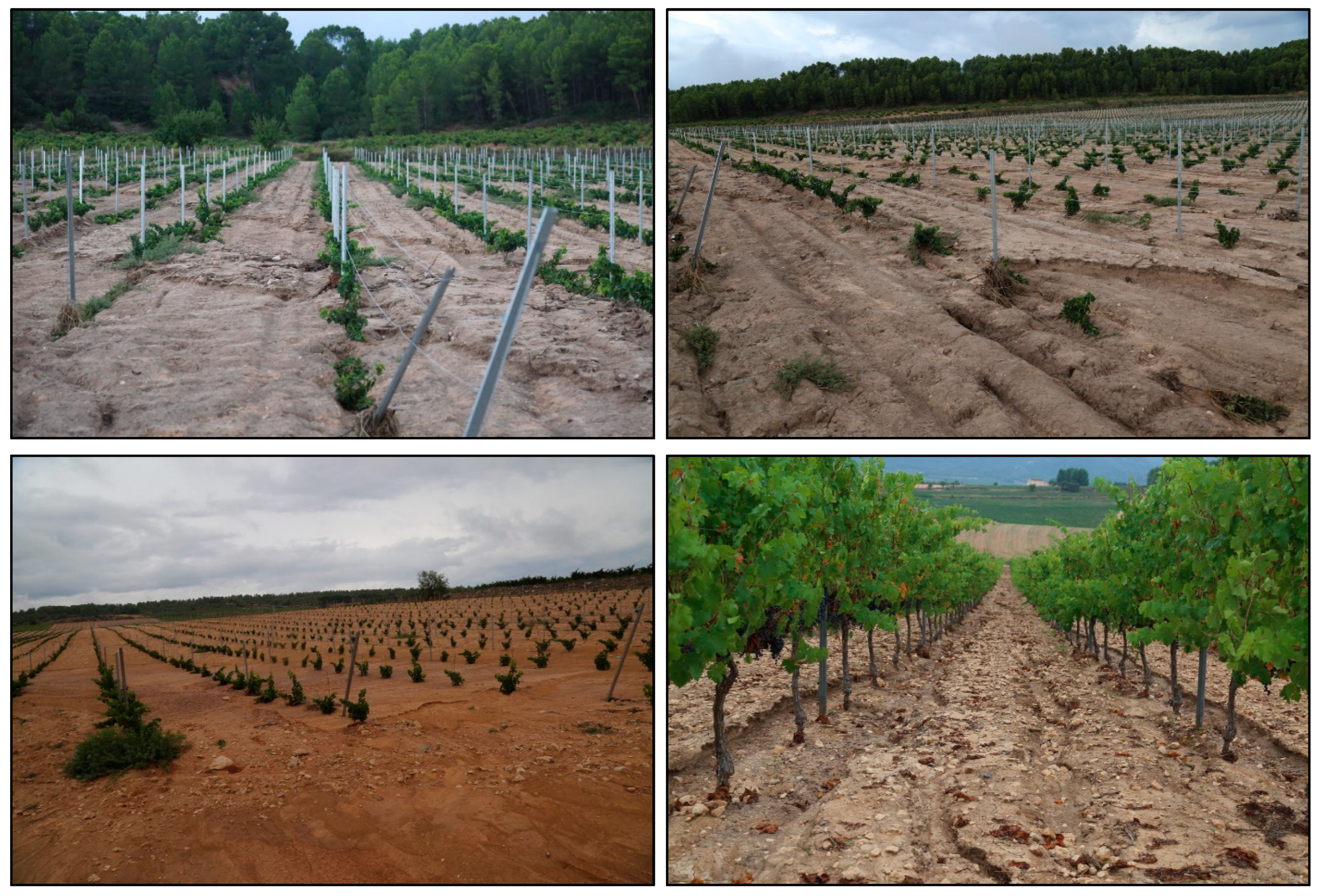 Atmosphere 11 00551 g004 Atmosphere 11 00551 g004