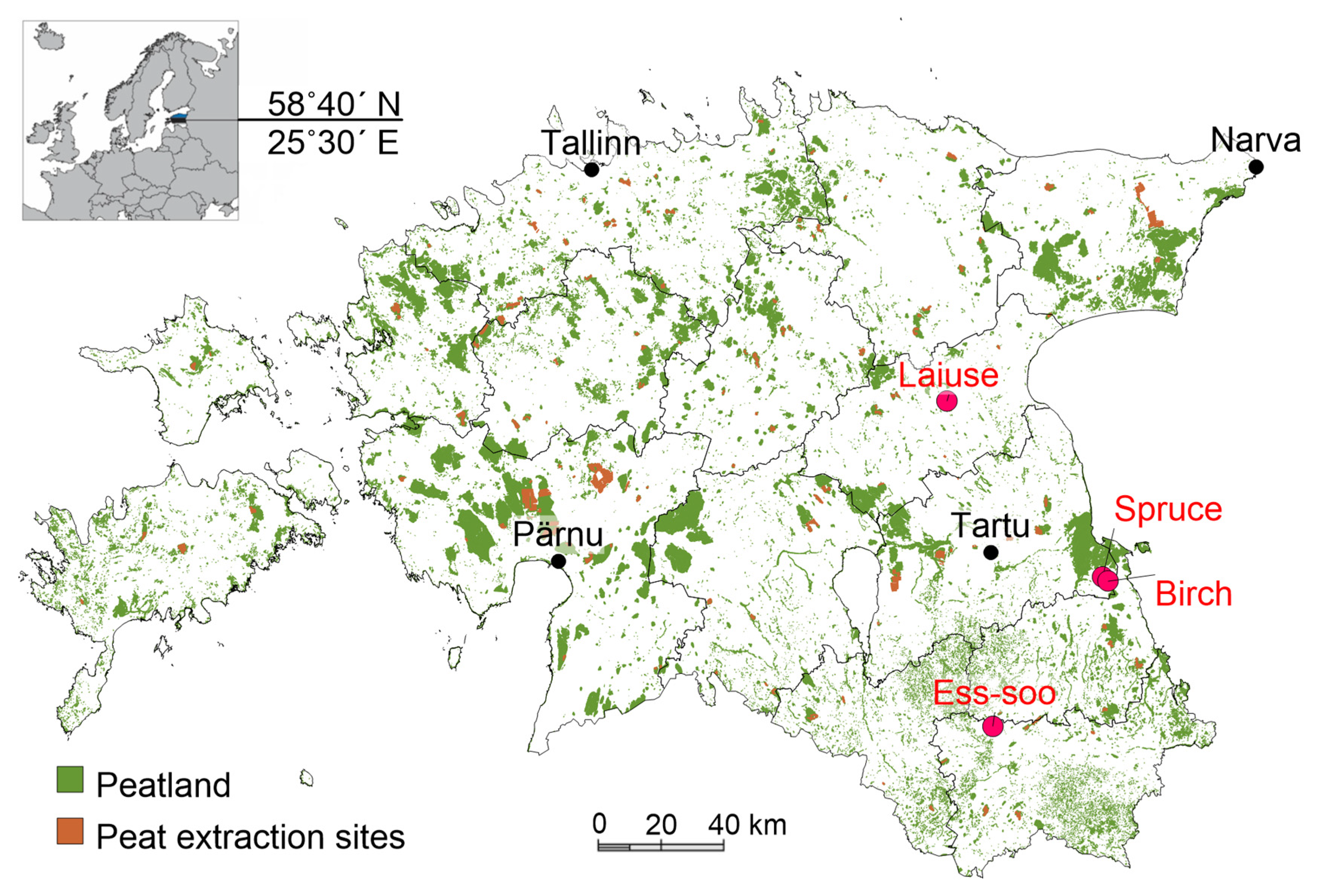 Fen Peatlands  IUCN UK Peatland Programme