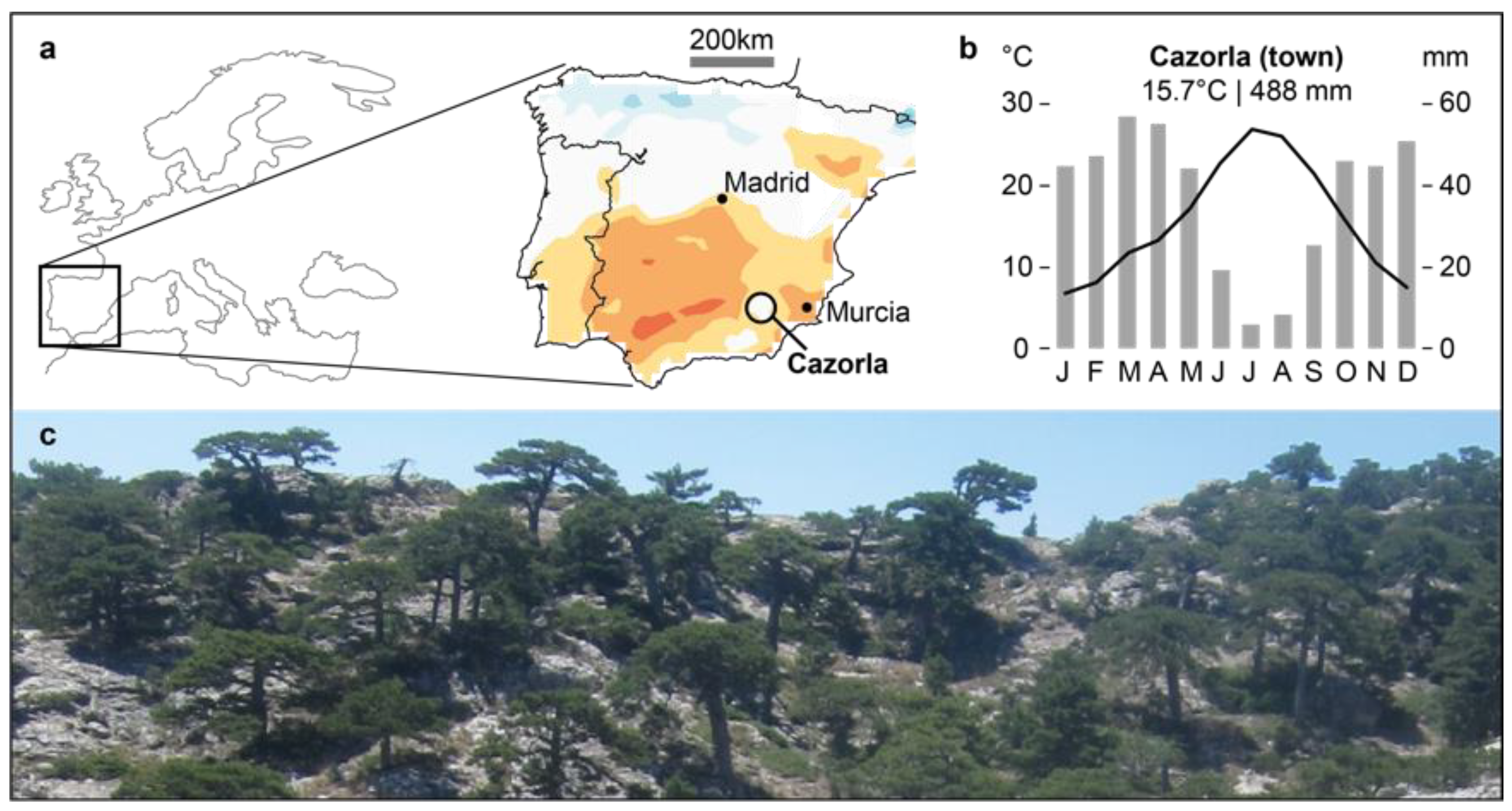 Atmosphere 11 00748 g001